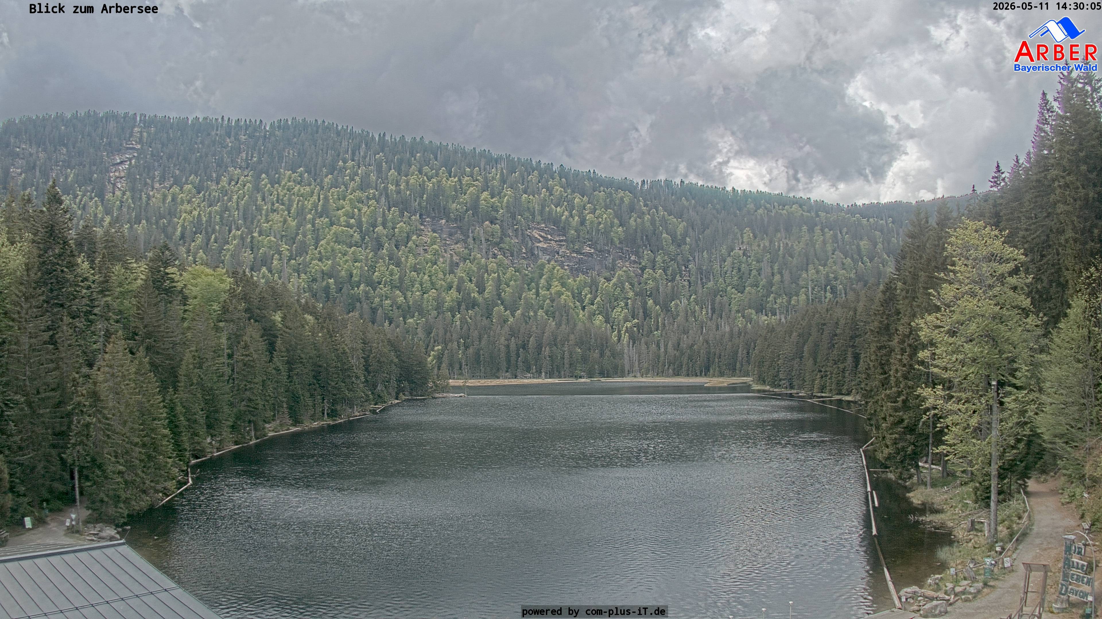 Archiv Foto Webcam Großer Arbersee - Bayerischer Wald