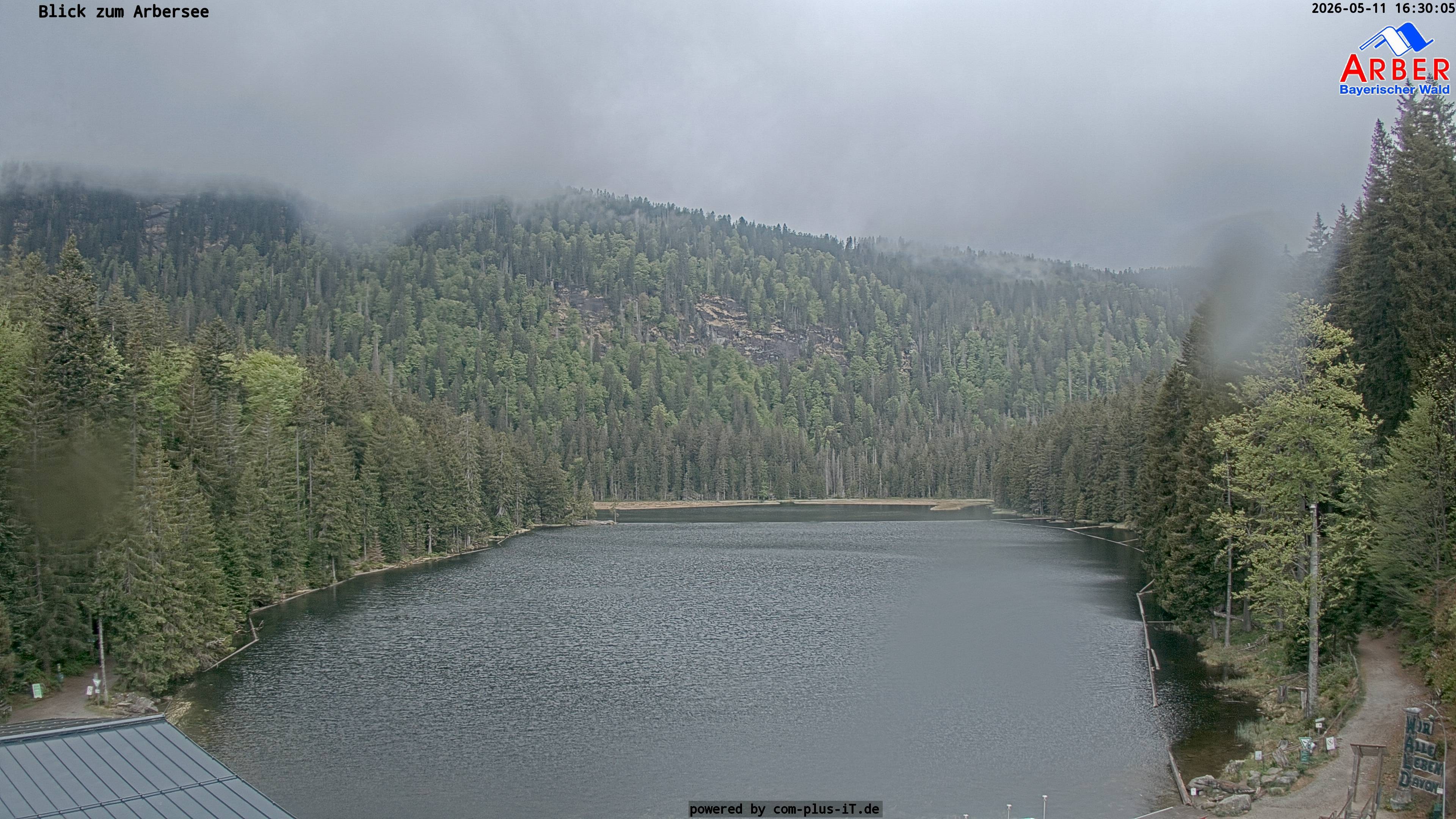 Archiv Foto Webcam Großer Arbersee - Bayerischer Wald
