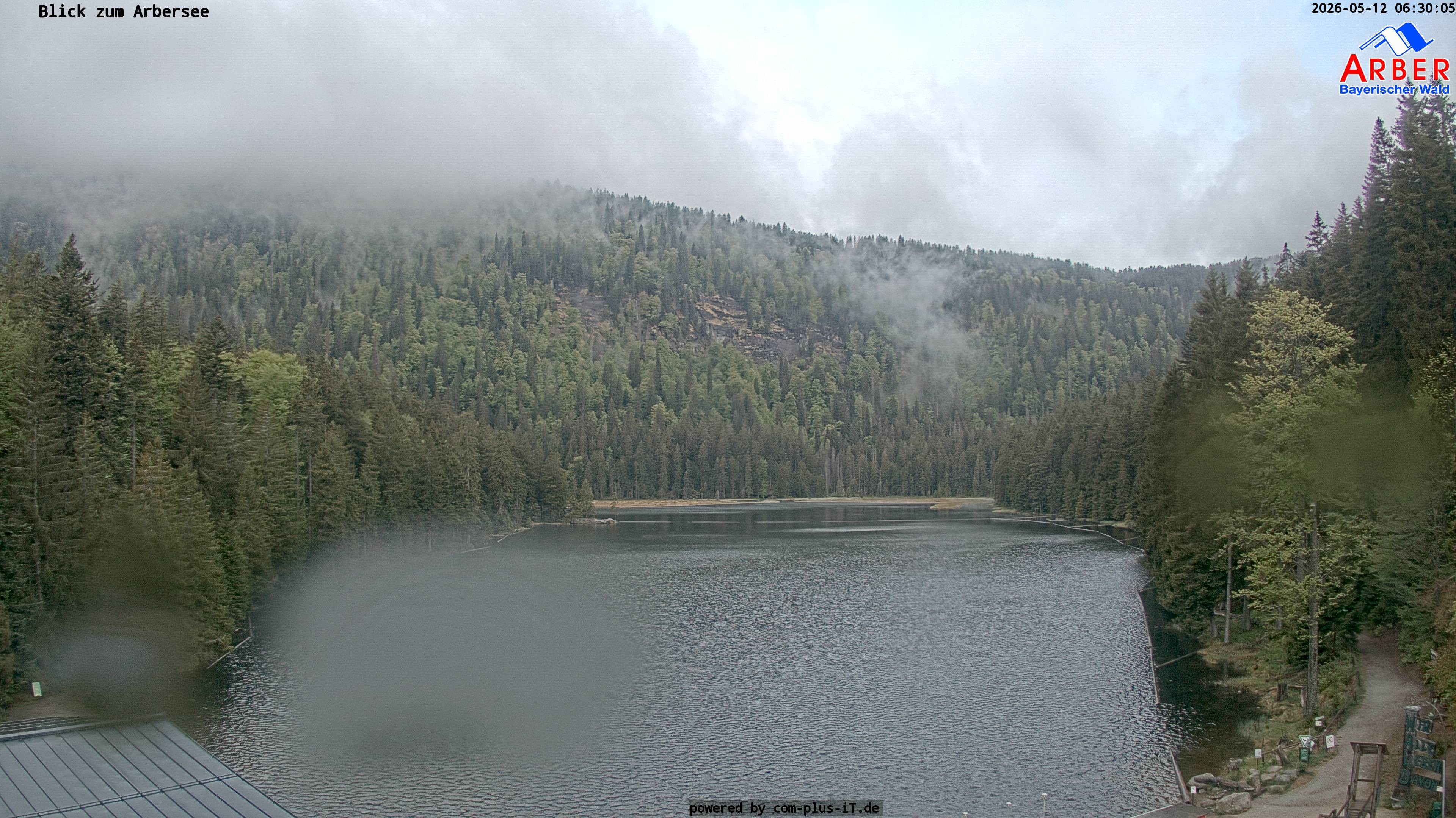 Archiv Foto Webcam Großer Arbersee - Bayerischer Wald