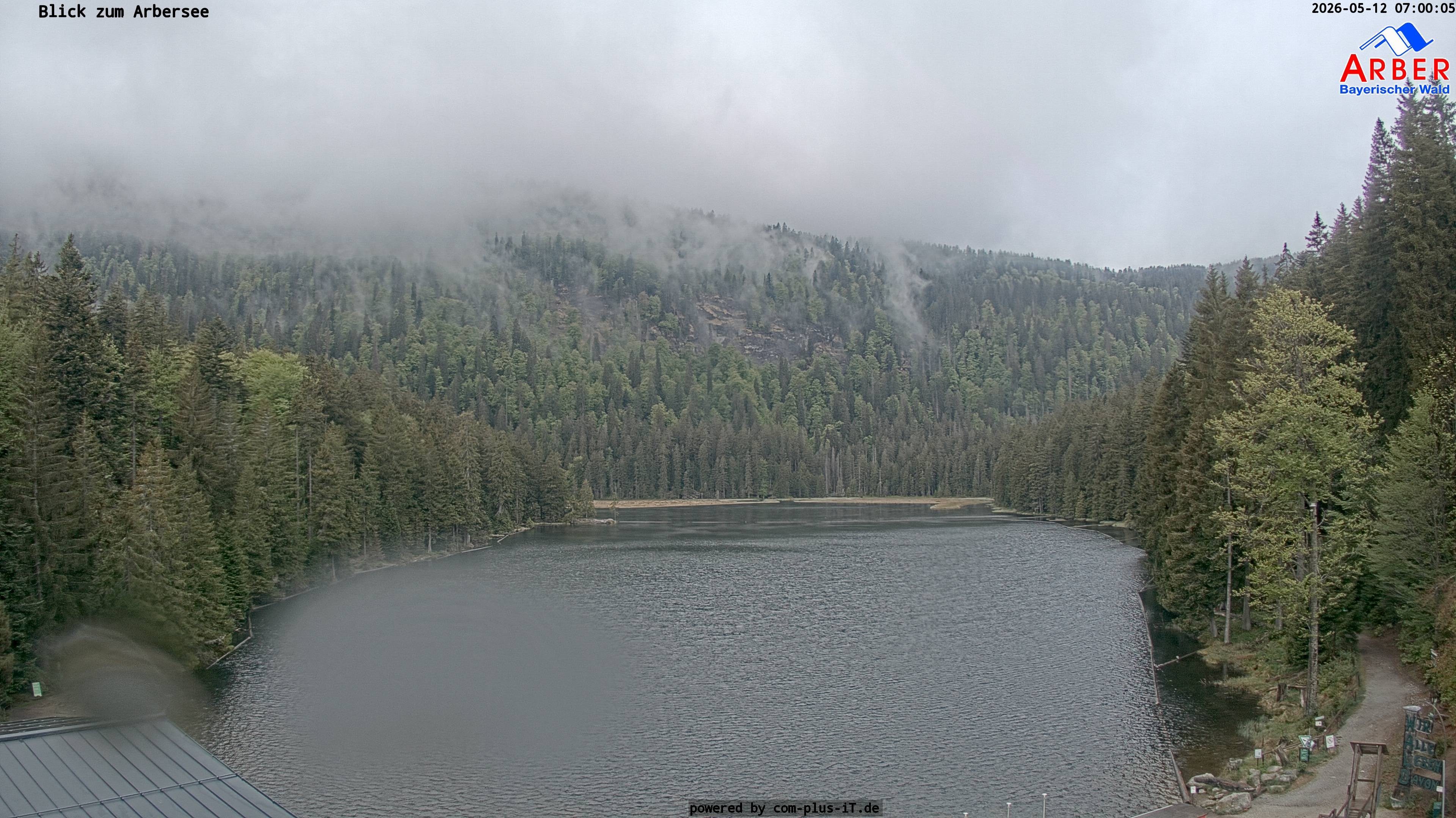 Archiv Foto Webcam Großer Arbersee - Bayerischer Wald