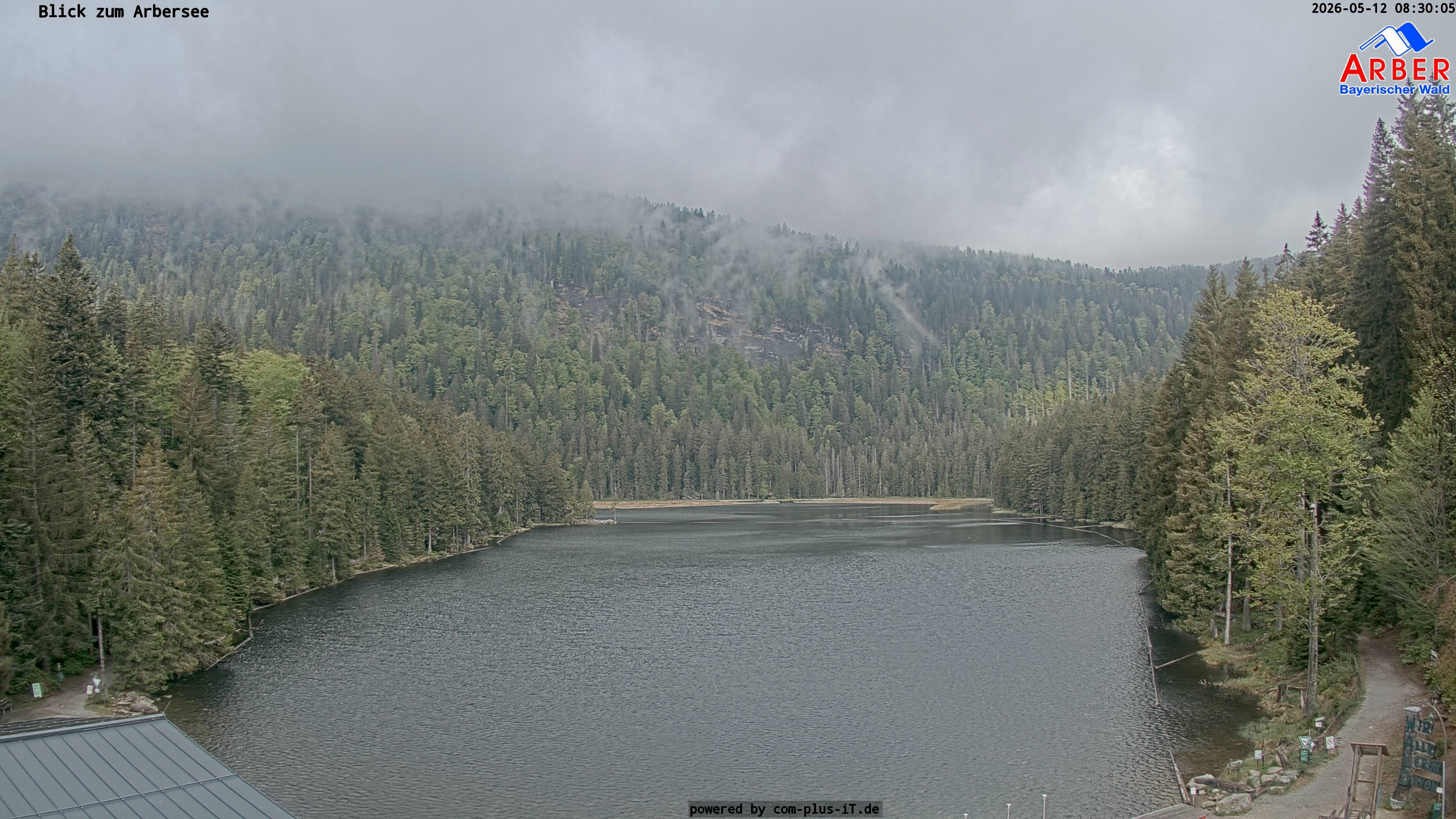 Archiv Foto Webcam Großer Arbersee - Bayerischer Wald