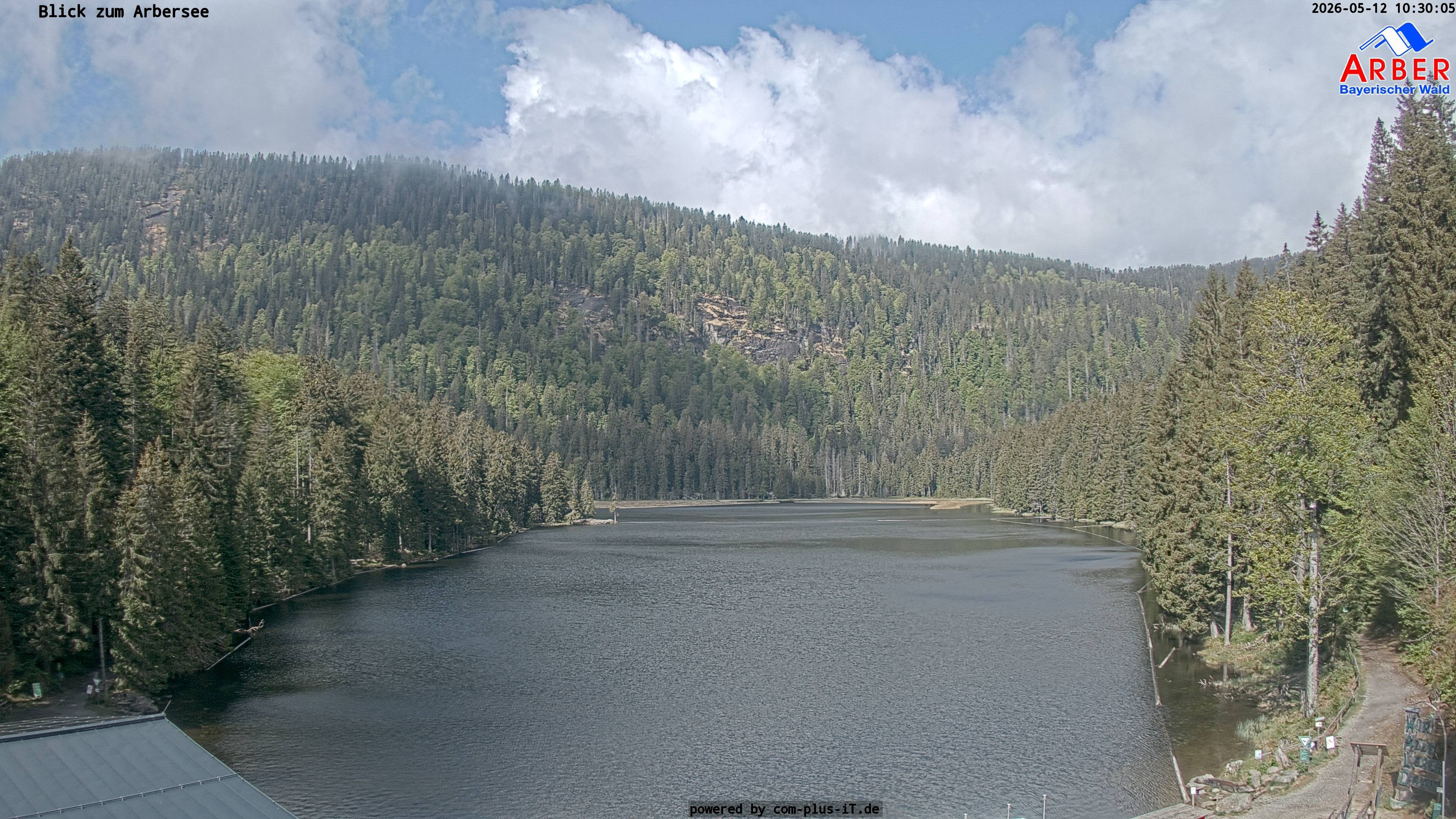 Archiv Foto Webcam Großer Arbersee - Bayerischer Wald