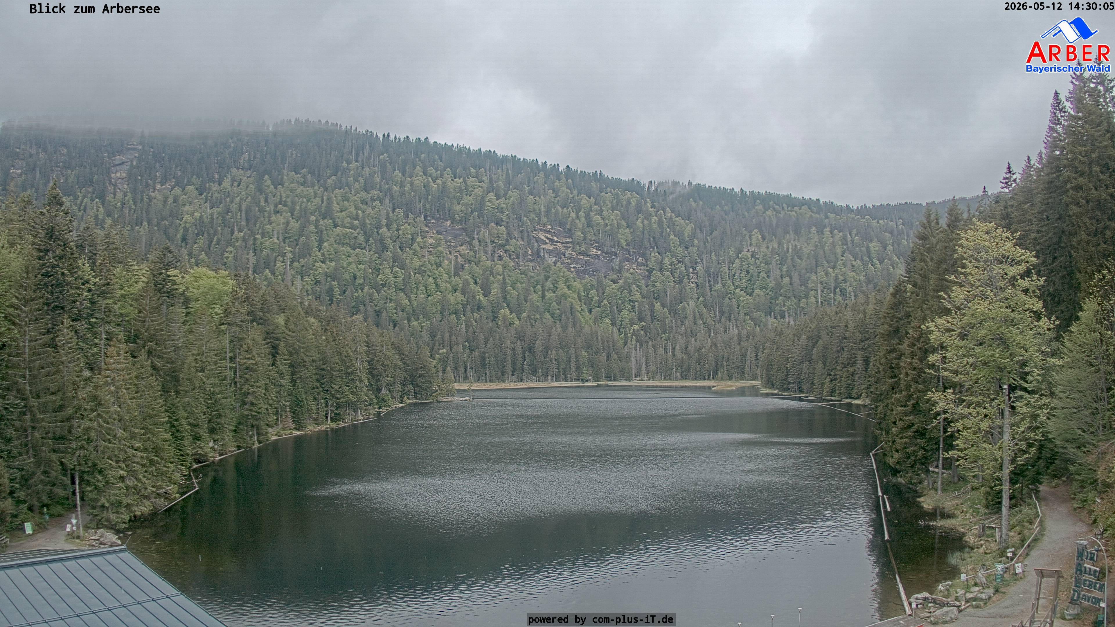 Archiv Foto Webcam Großer Arbersee - Bayerischer Wald
