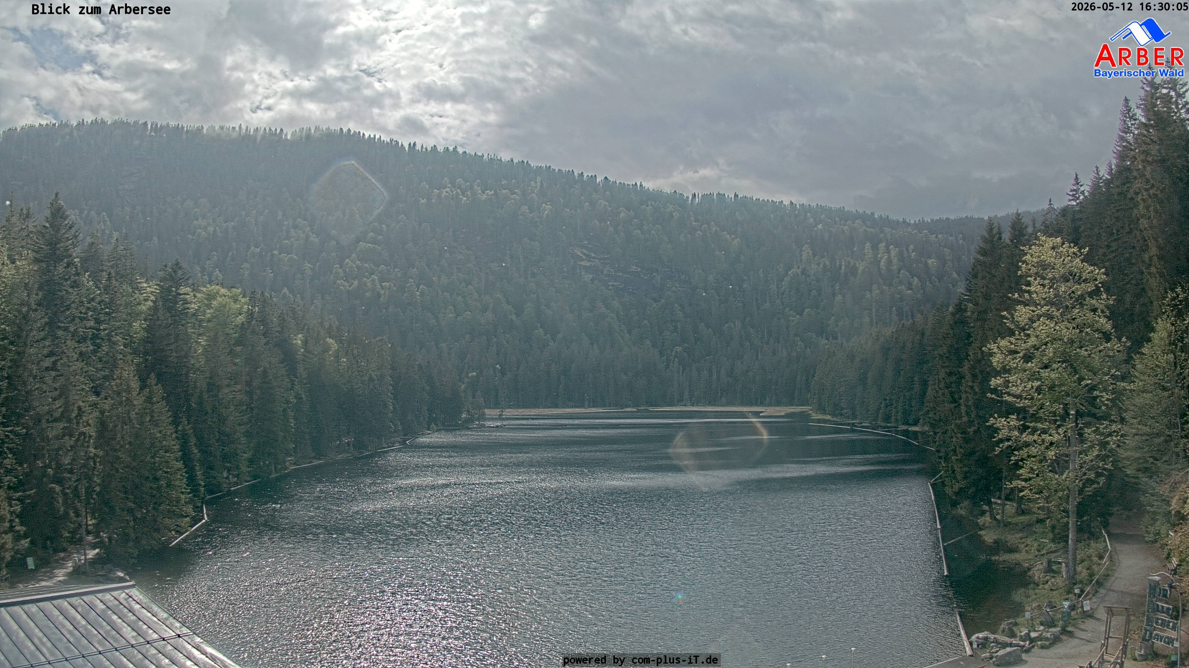 Archiv Foto Webcam Großer Arbersee - Bayerischer Wald