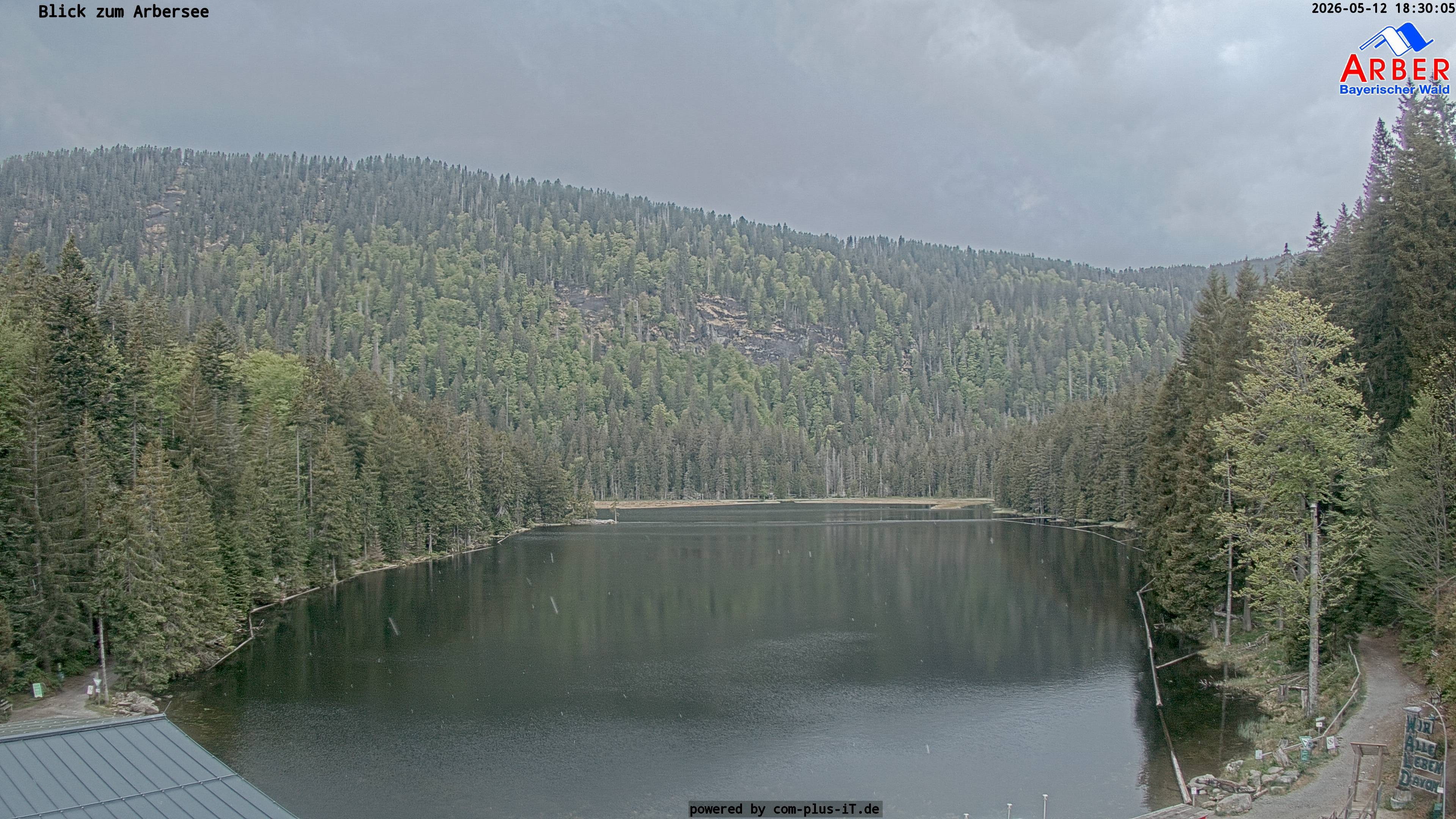Archiv Foto Webcam Großer Arbersee - Bayerischer Wald