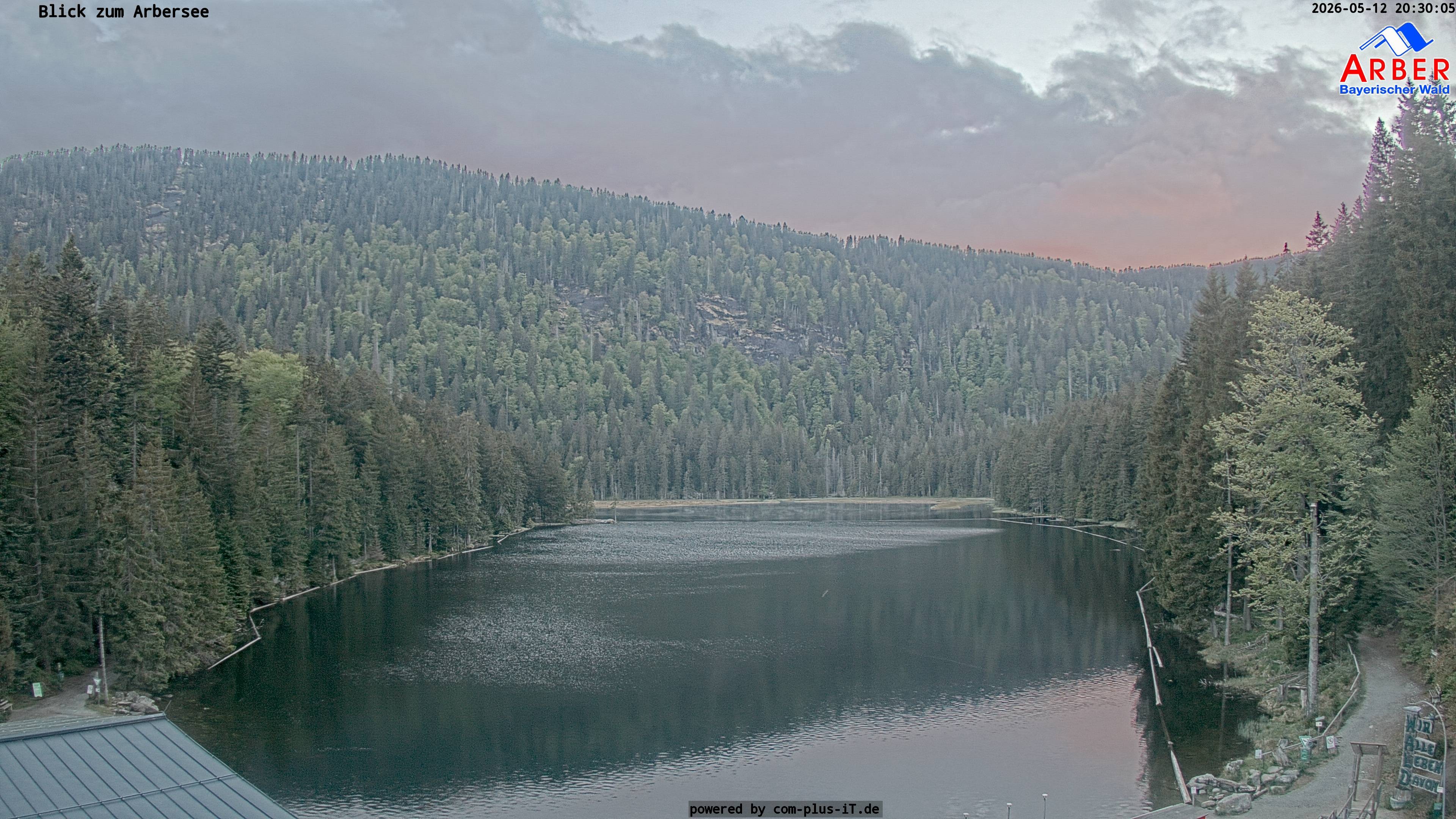 Archiv Foto Webcam Großer Arbersee - Bayerischer Wald