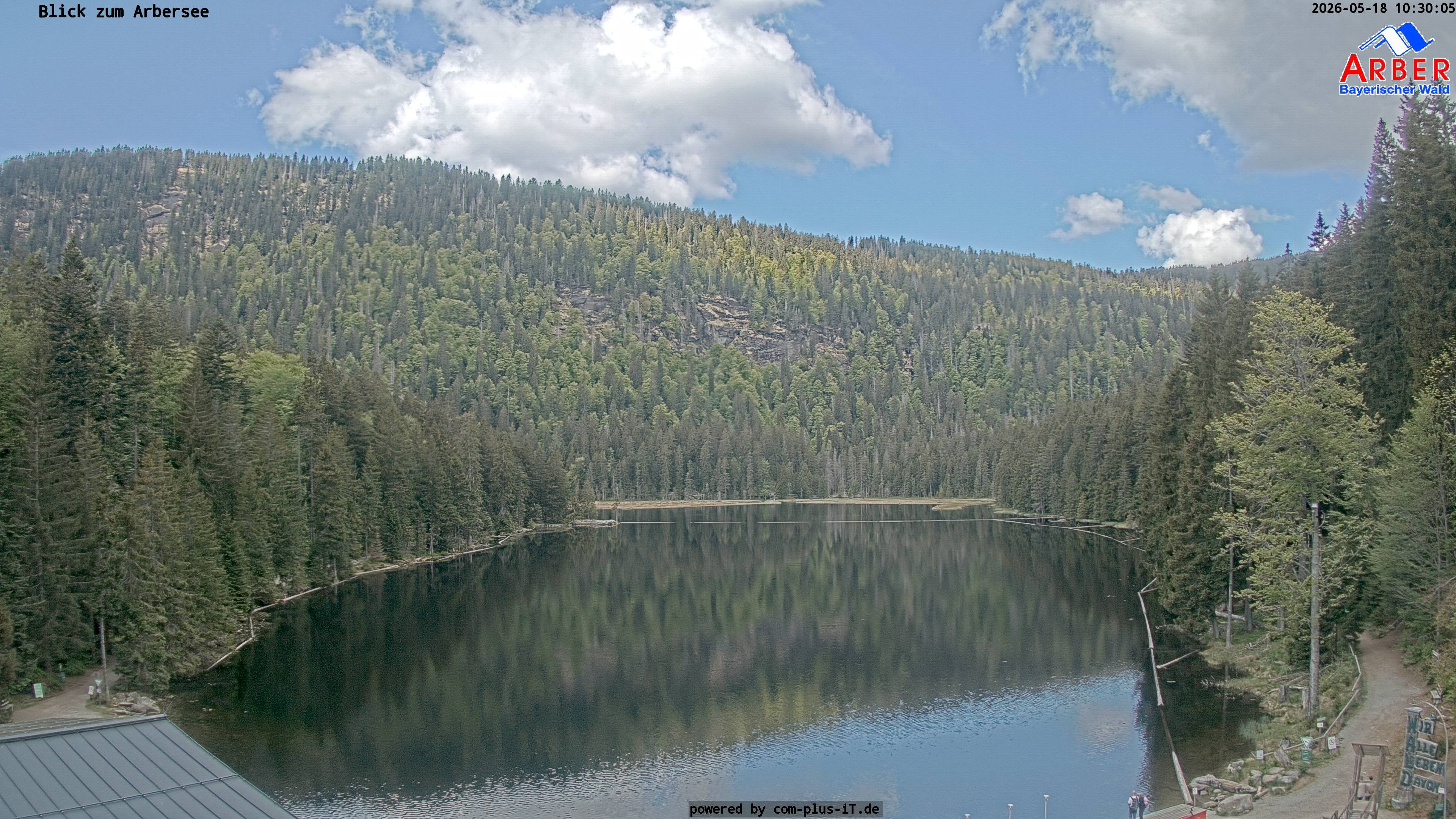 Archiv Foto Webcam Großer Arbersee - Bayerischer Wald
