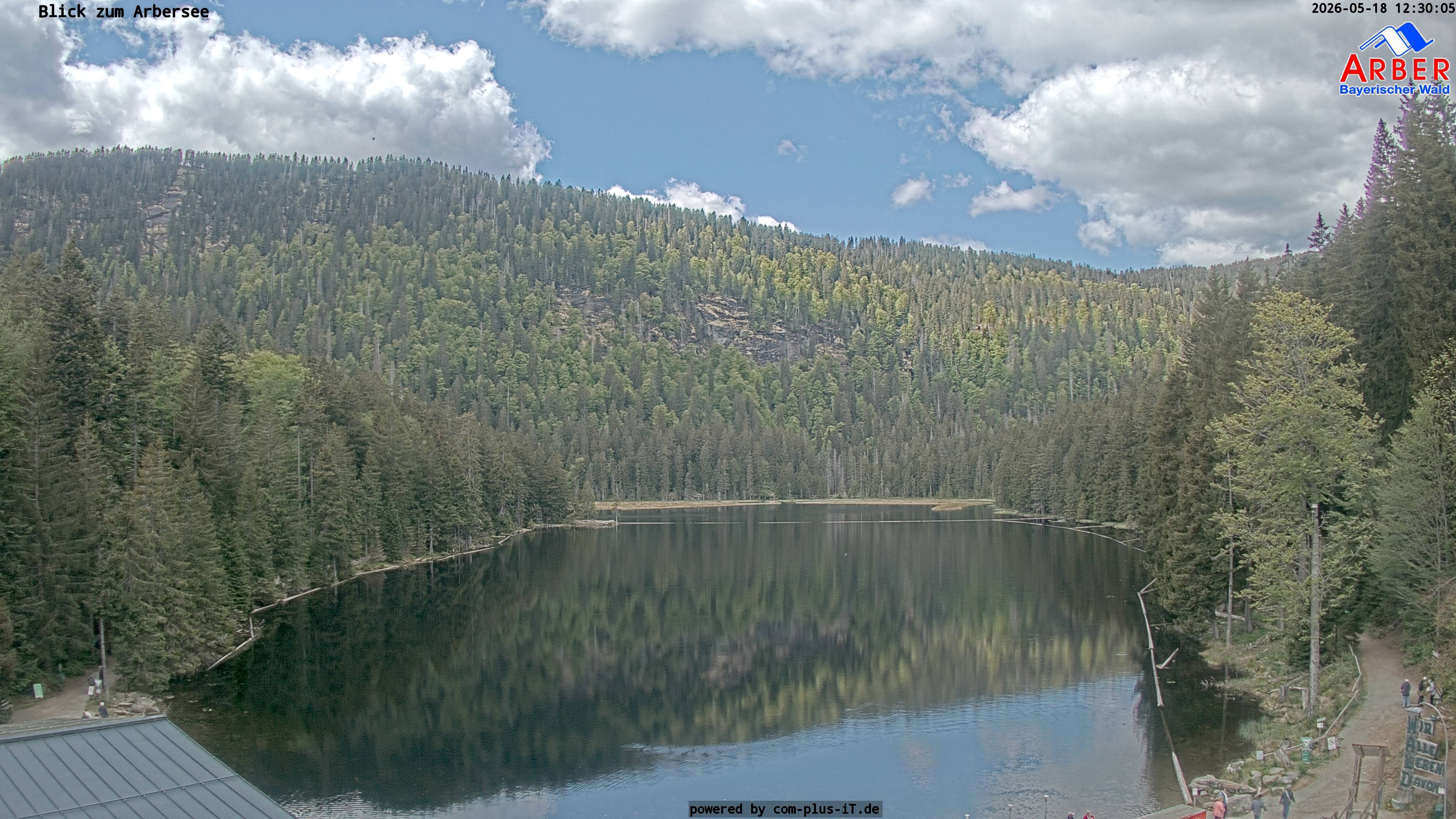 Archiv Foto Webcam Großer Arbersee - Bayerischer Wald