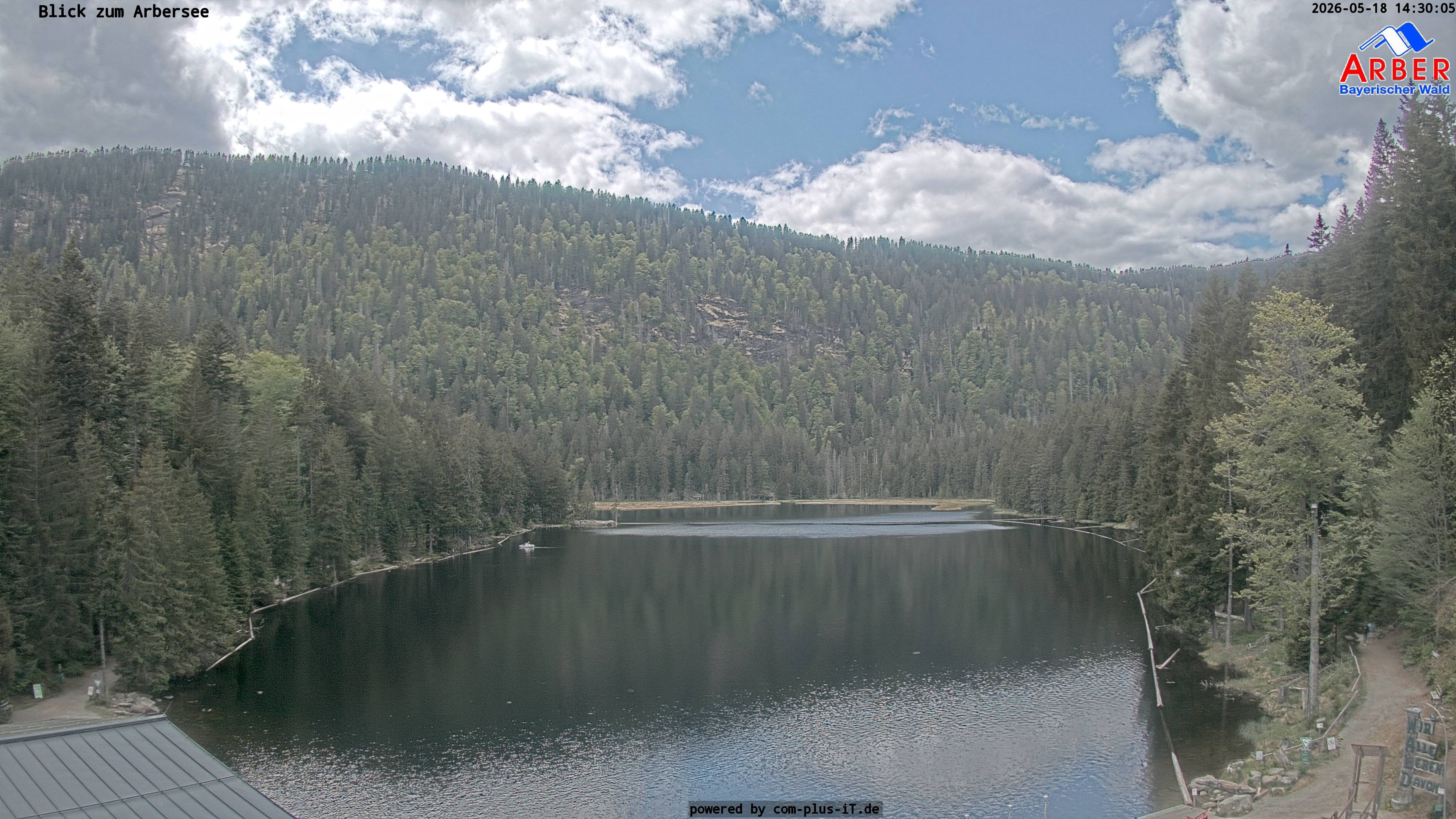 Archiv Foto Webcam Großer Arbersee - Bayerischer Wald
