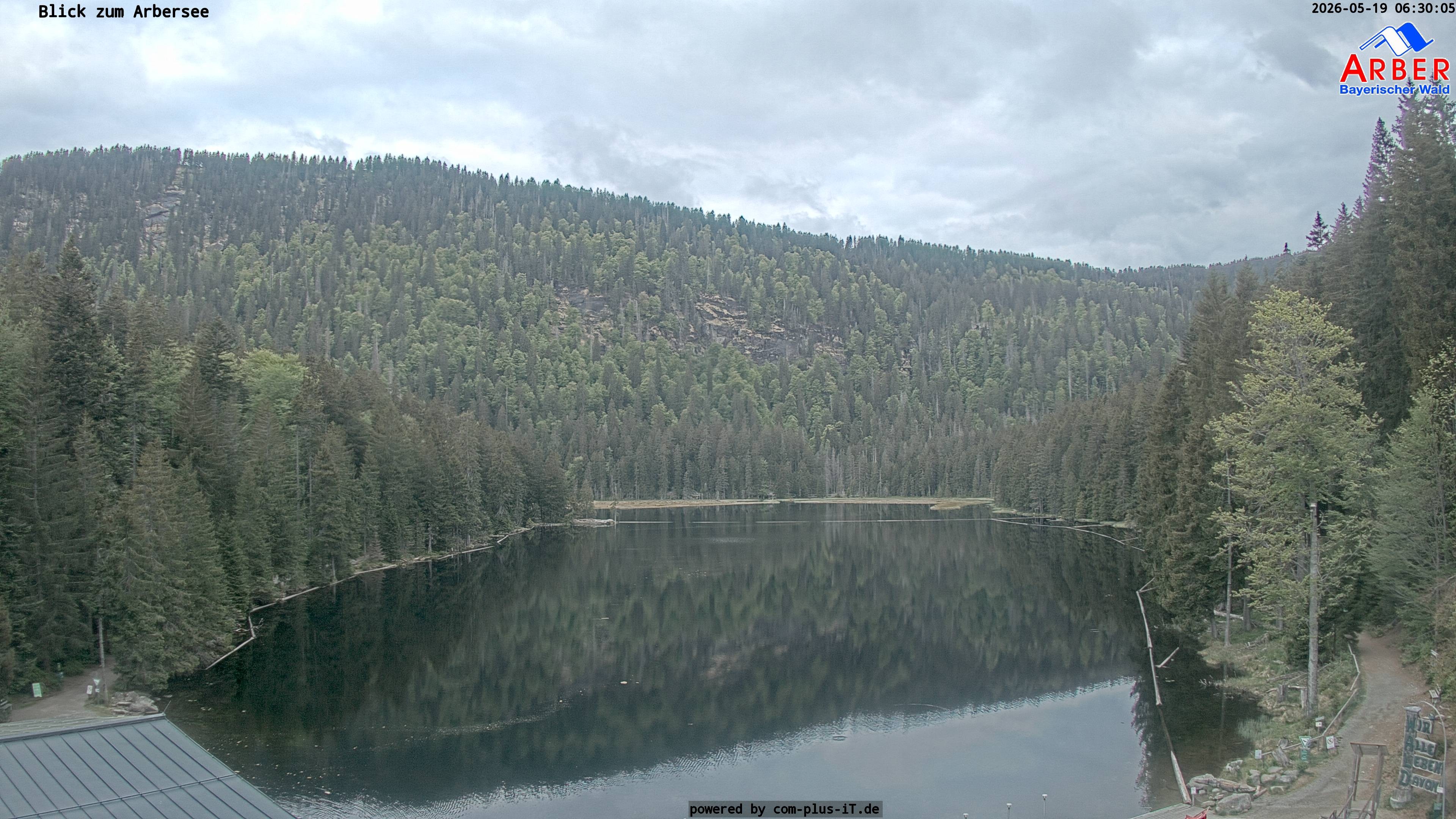 Archiv Foto Webcam Großer Arbersee - Bayerischer Wald