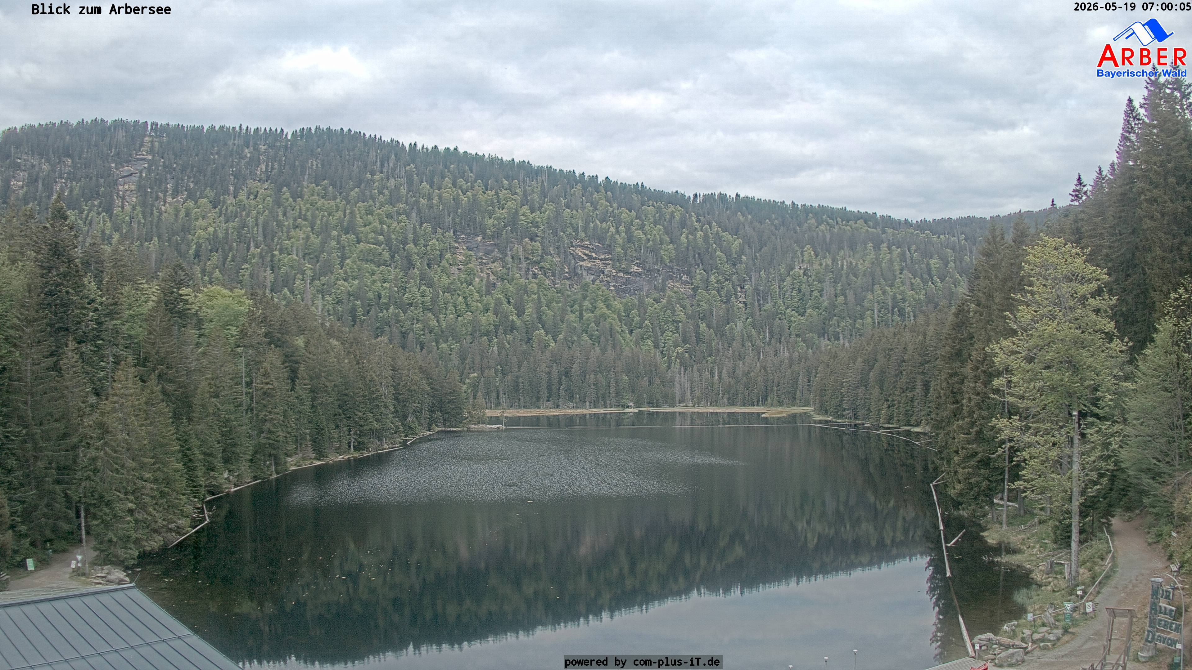 Archiv Foto Webcam Großer Arbersee - Bayerischer Wald