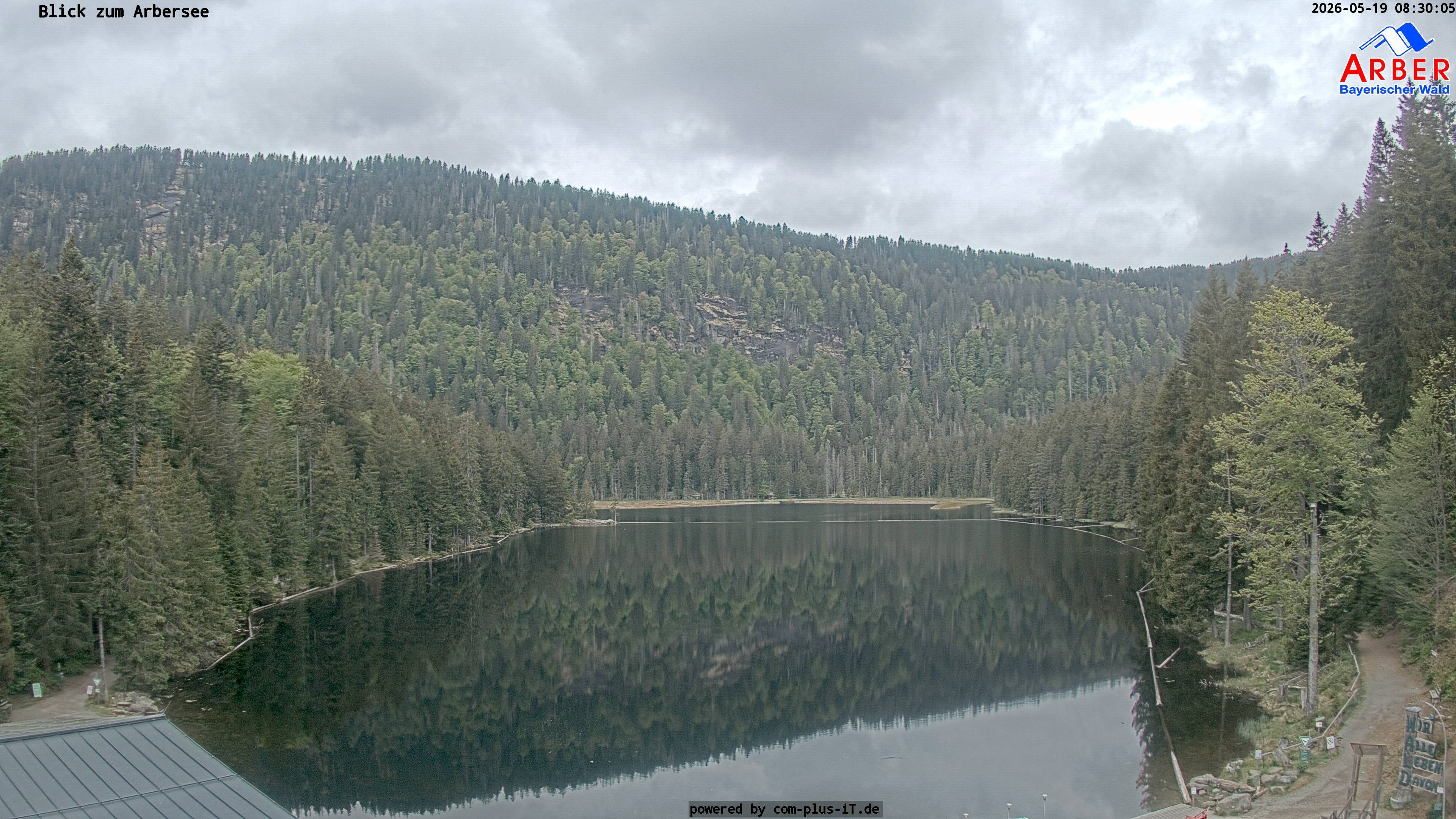 Archiv Foto Webcam Großer Arbersee - Bayerischer Wald