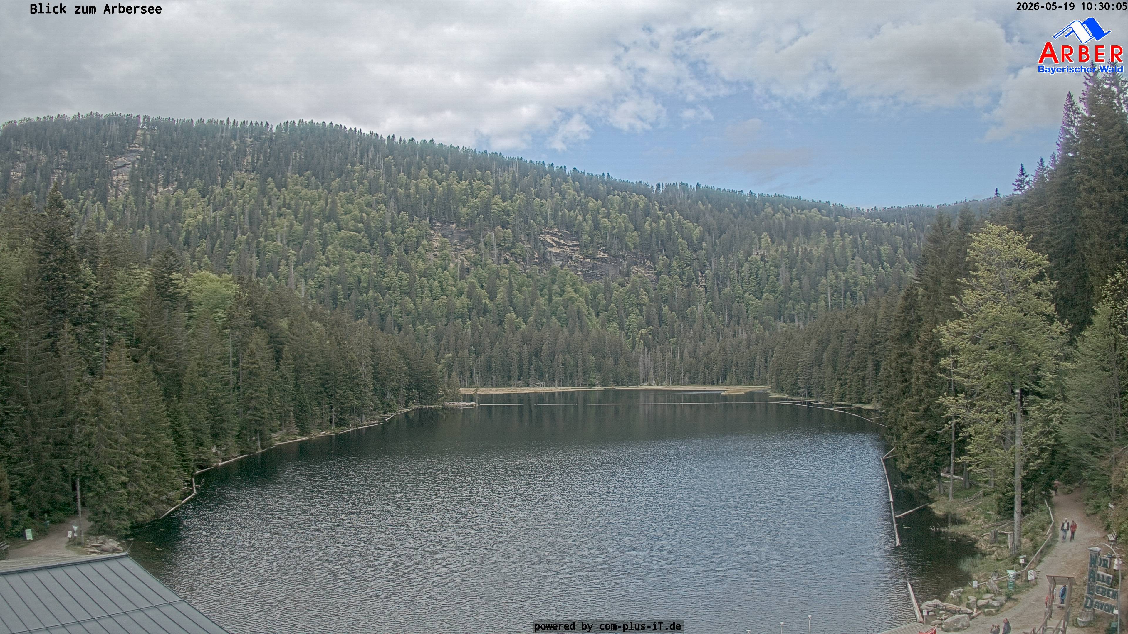 Archiv Foto Webcam Großer Arbersee - Bayerischer Wald