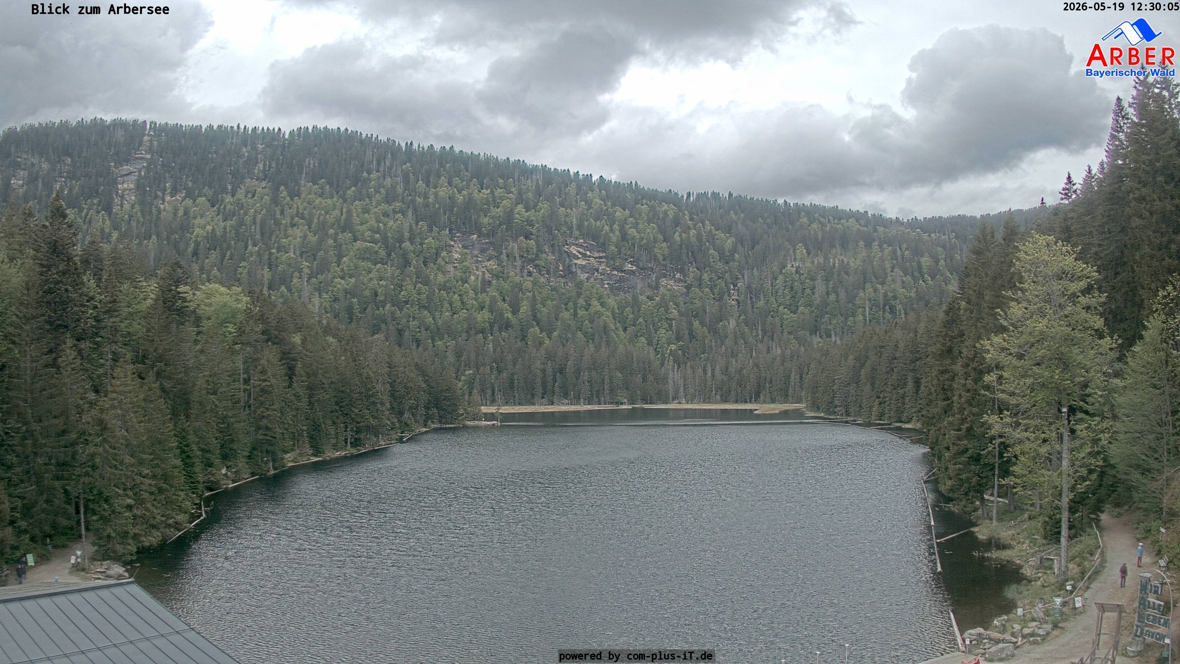 Archiv Foto Webcam Großer Arbersee - Bayerischer Wald