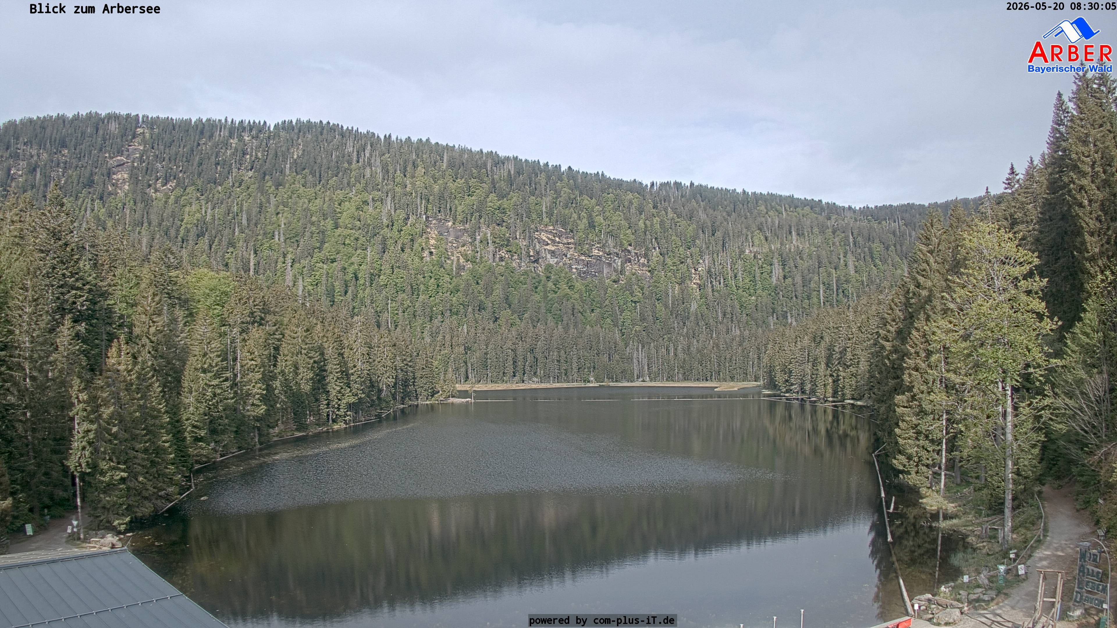 Archiv Foto Webcam Großer Arbersee - Bayerischer Wald