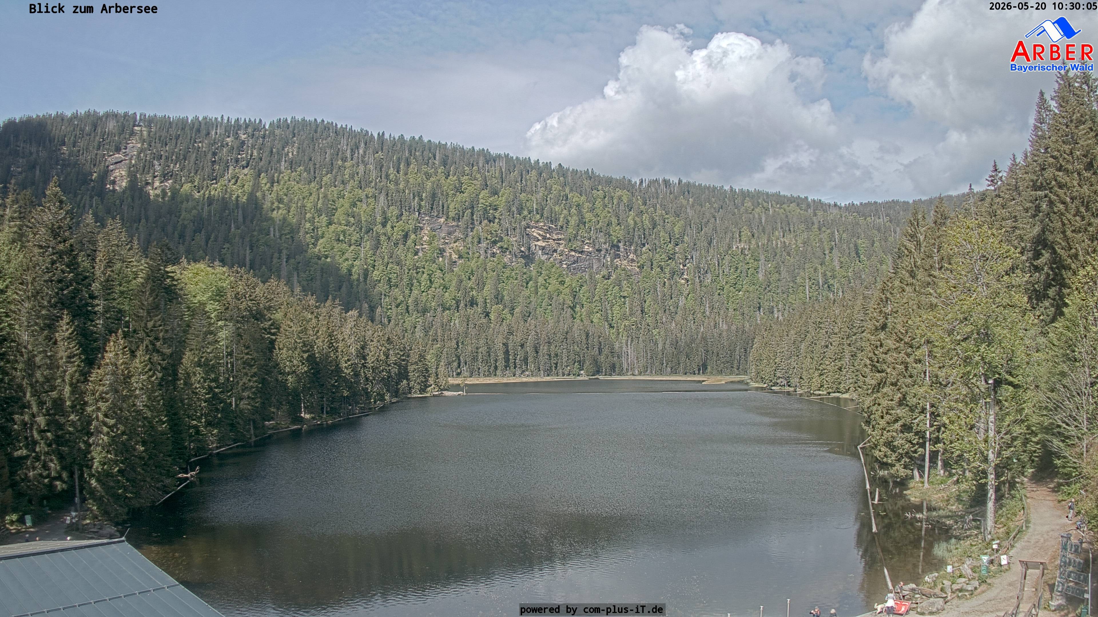 Archiv Foto Webcam Großer Arbersee - Bayerischer Wald