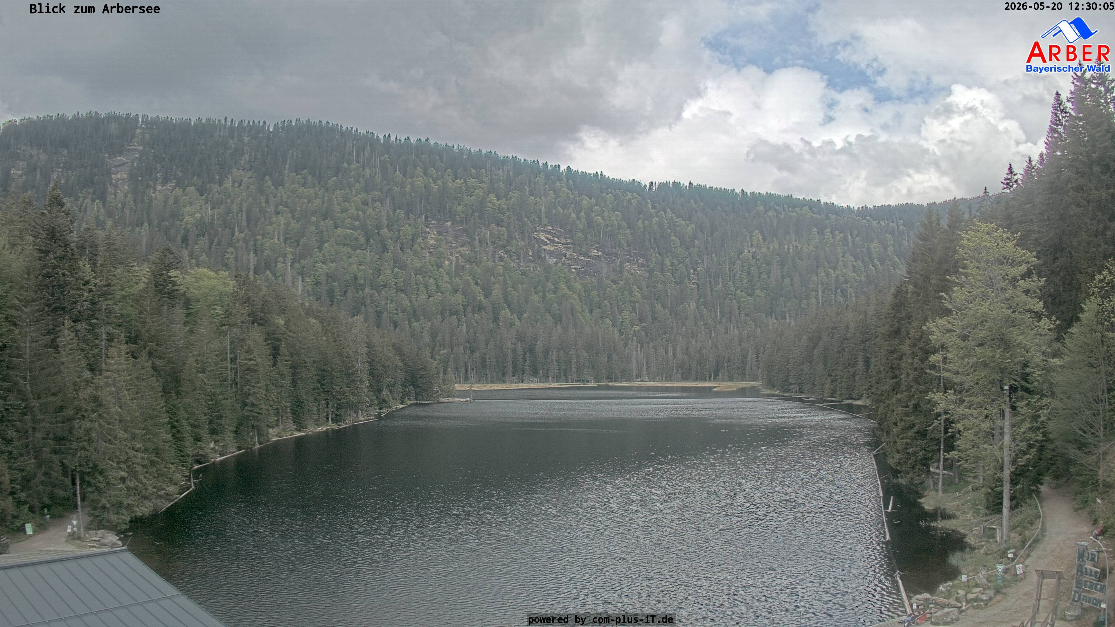 Archiv Foto Webcam Großer Arbersee - Bayerischer Wald