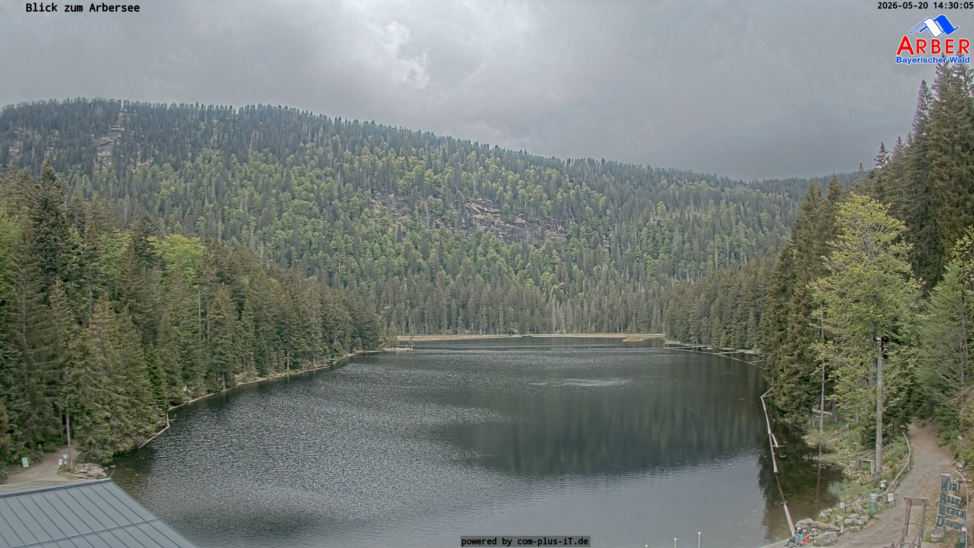 Archiv Foto Webcam Großer Arbersee - Bayerischer Wald