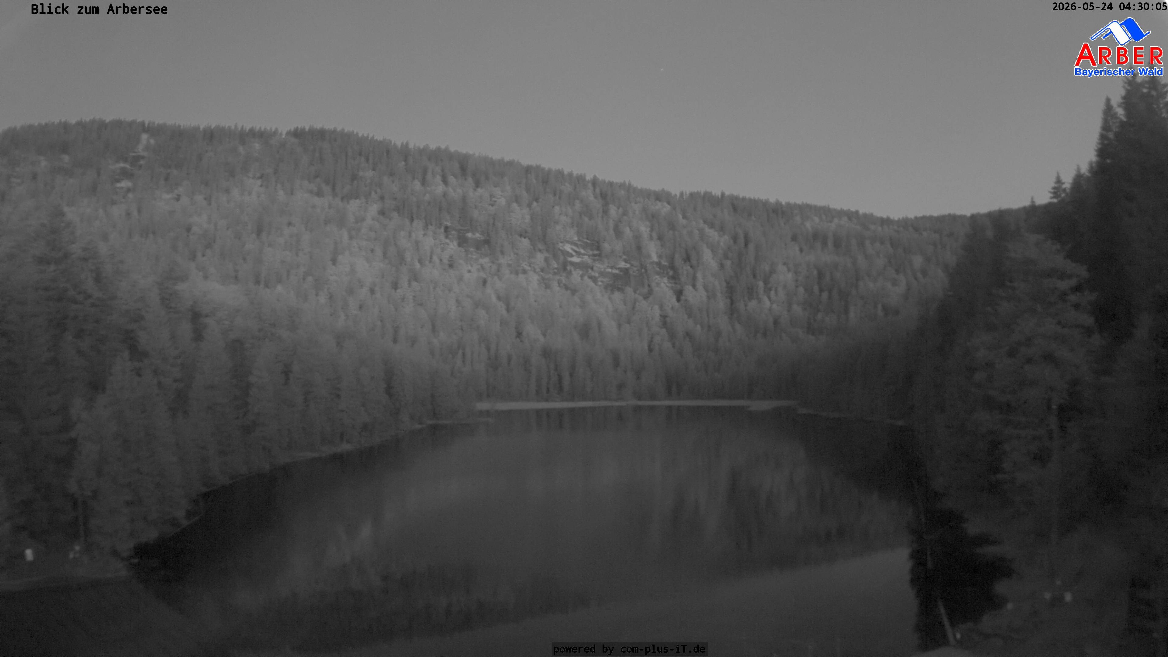 Archiv Foto Webcam Großer Arbersee - Bayerischer Wald