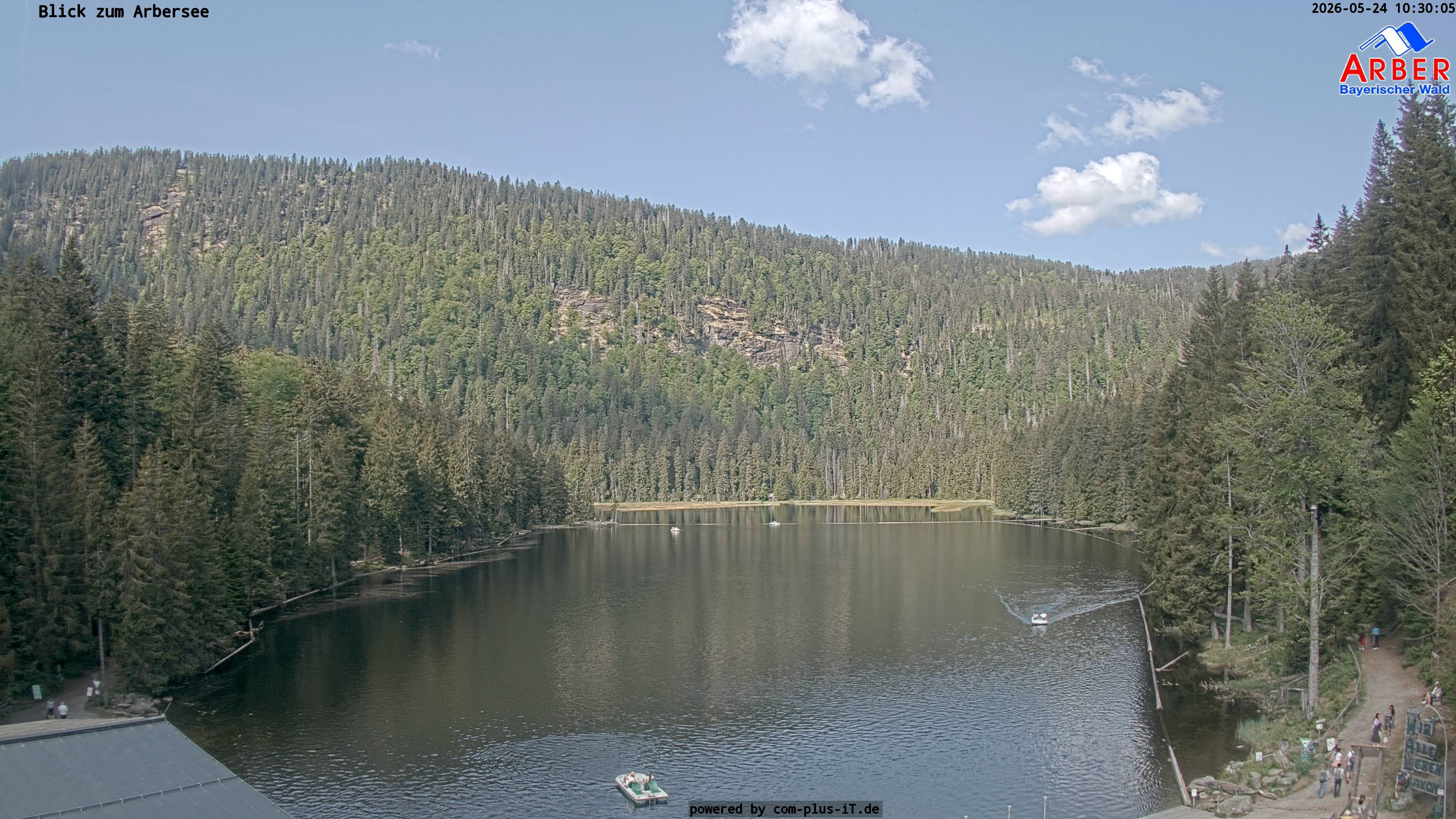 Archiv Foto Webcam Großer Arbersee - Bayerischer Wald