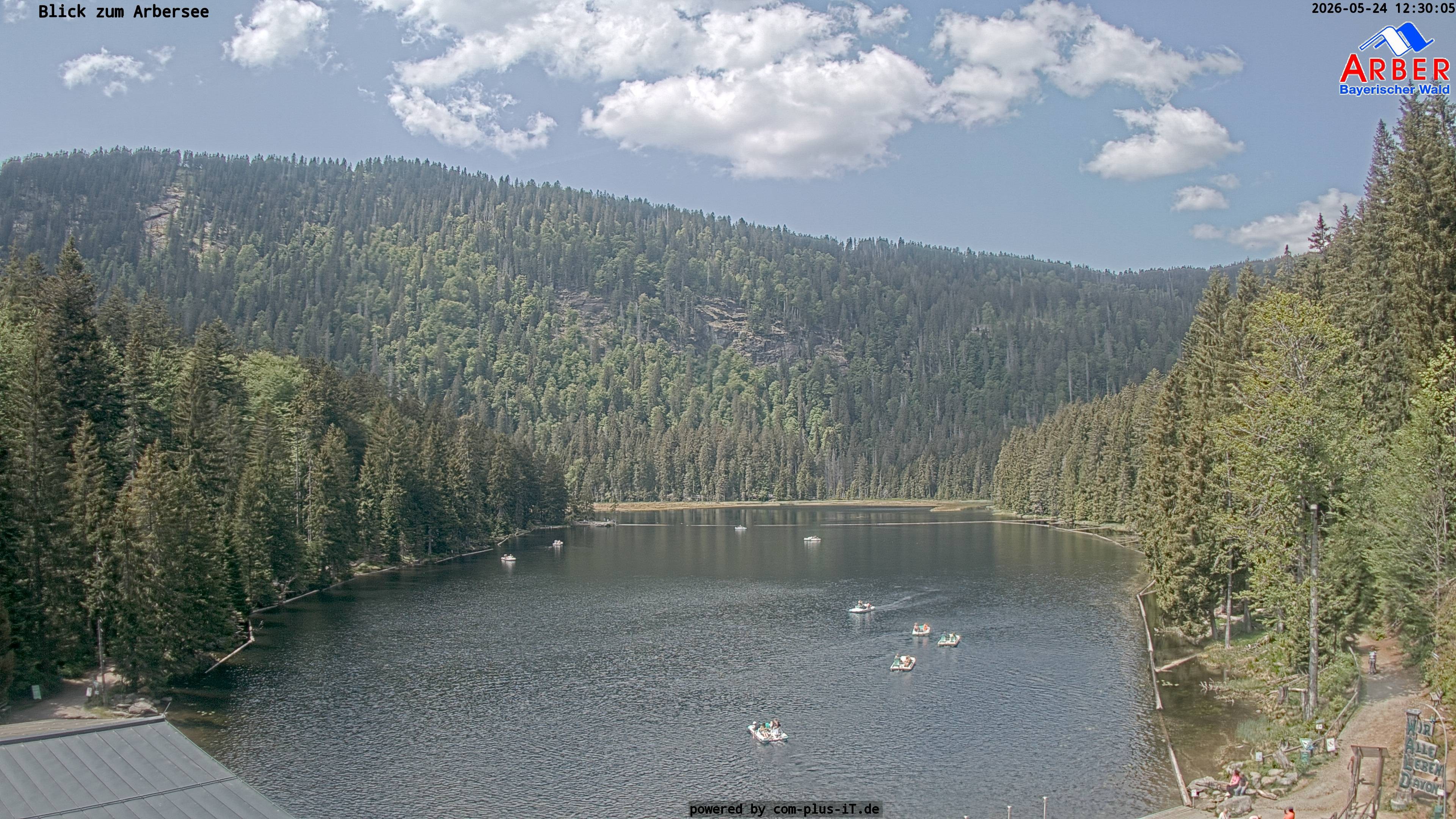 Archiv Foto Webcam Großer Arbersee - Bayerischer Wald
