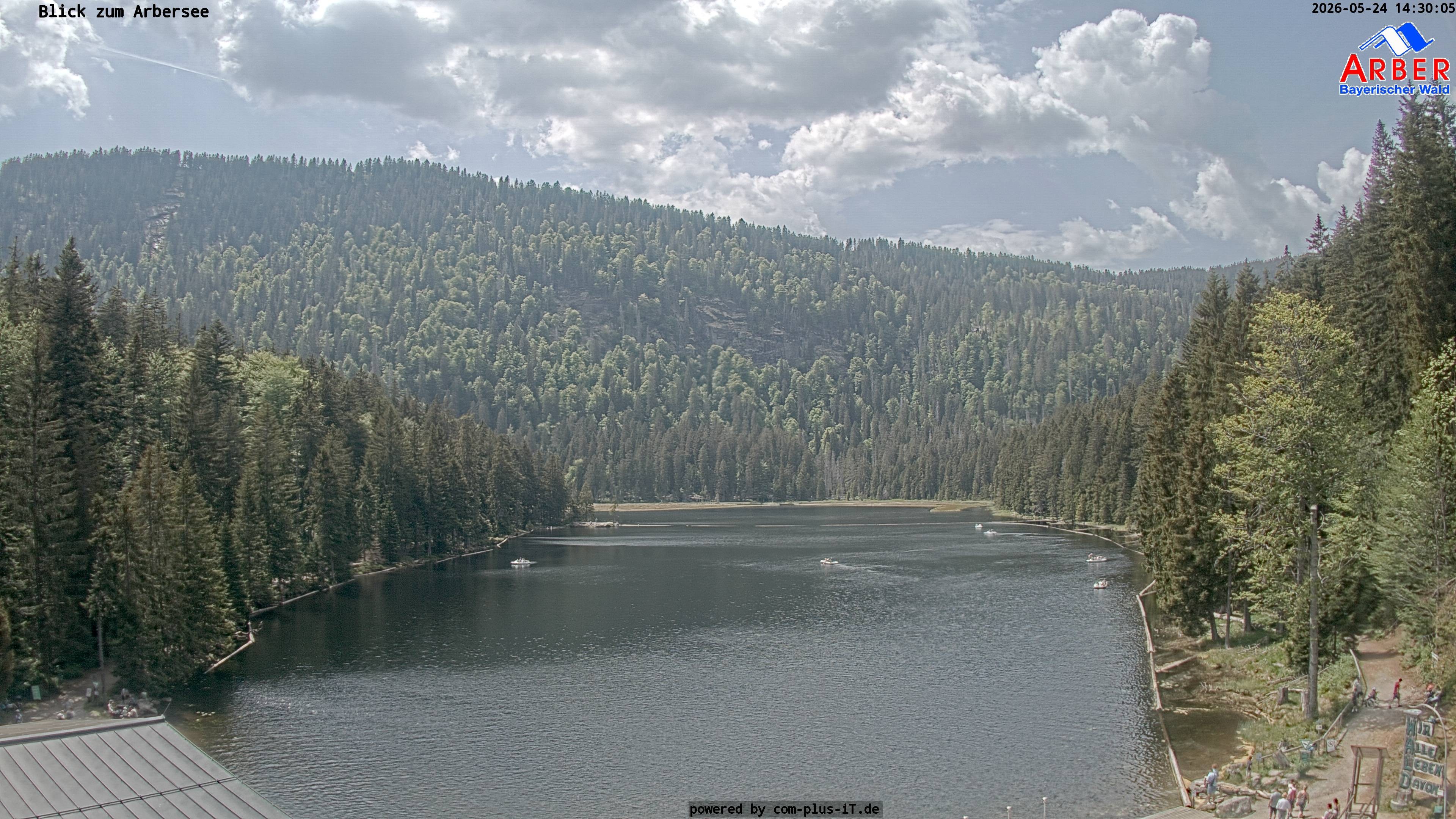 Archiv Foto Webcam Großer Arbersee - Bayerischer Wald