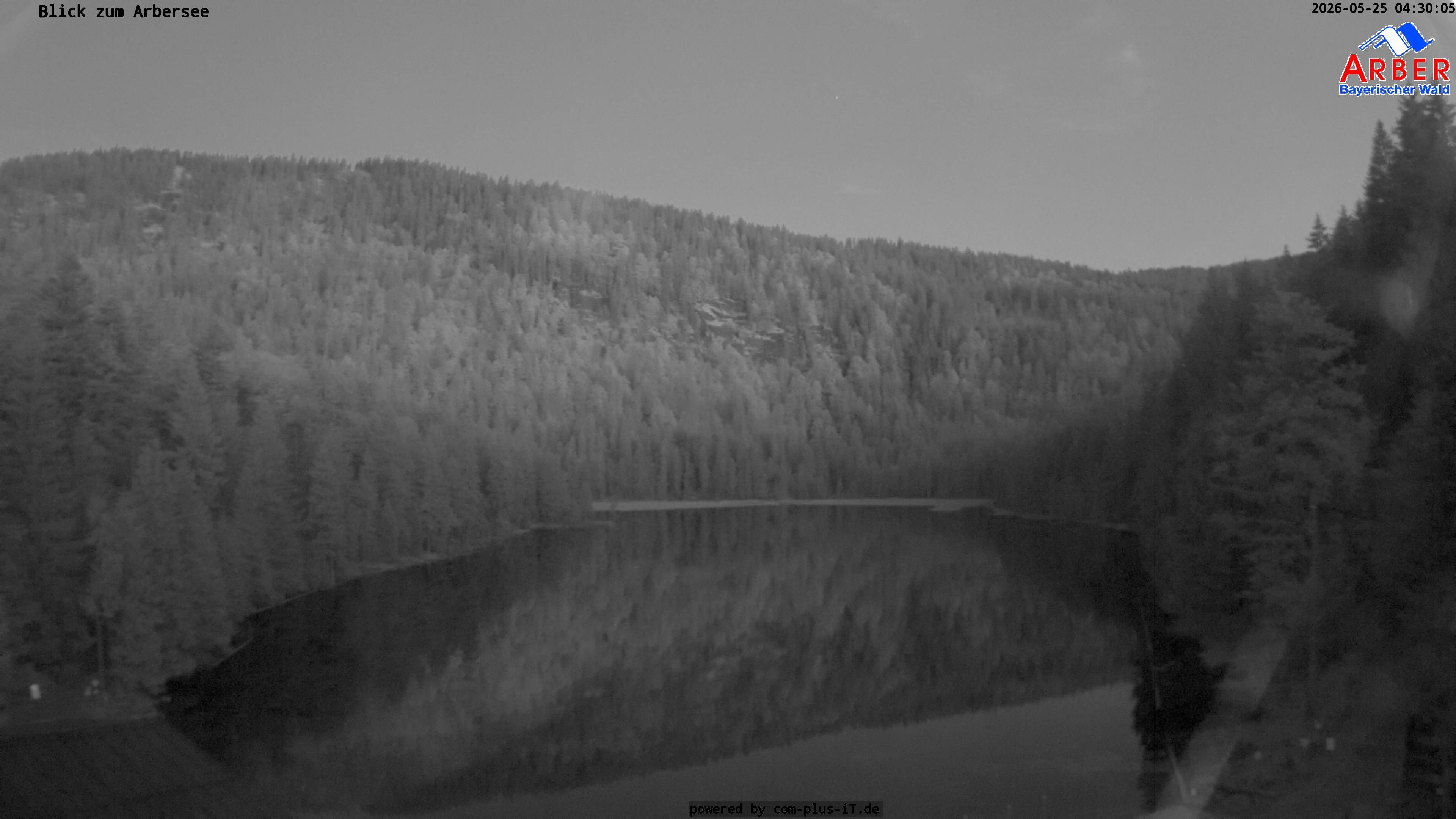 Archiv Foto Webcam Großer Arbersee - Bayerischer Wald