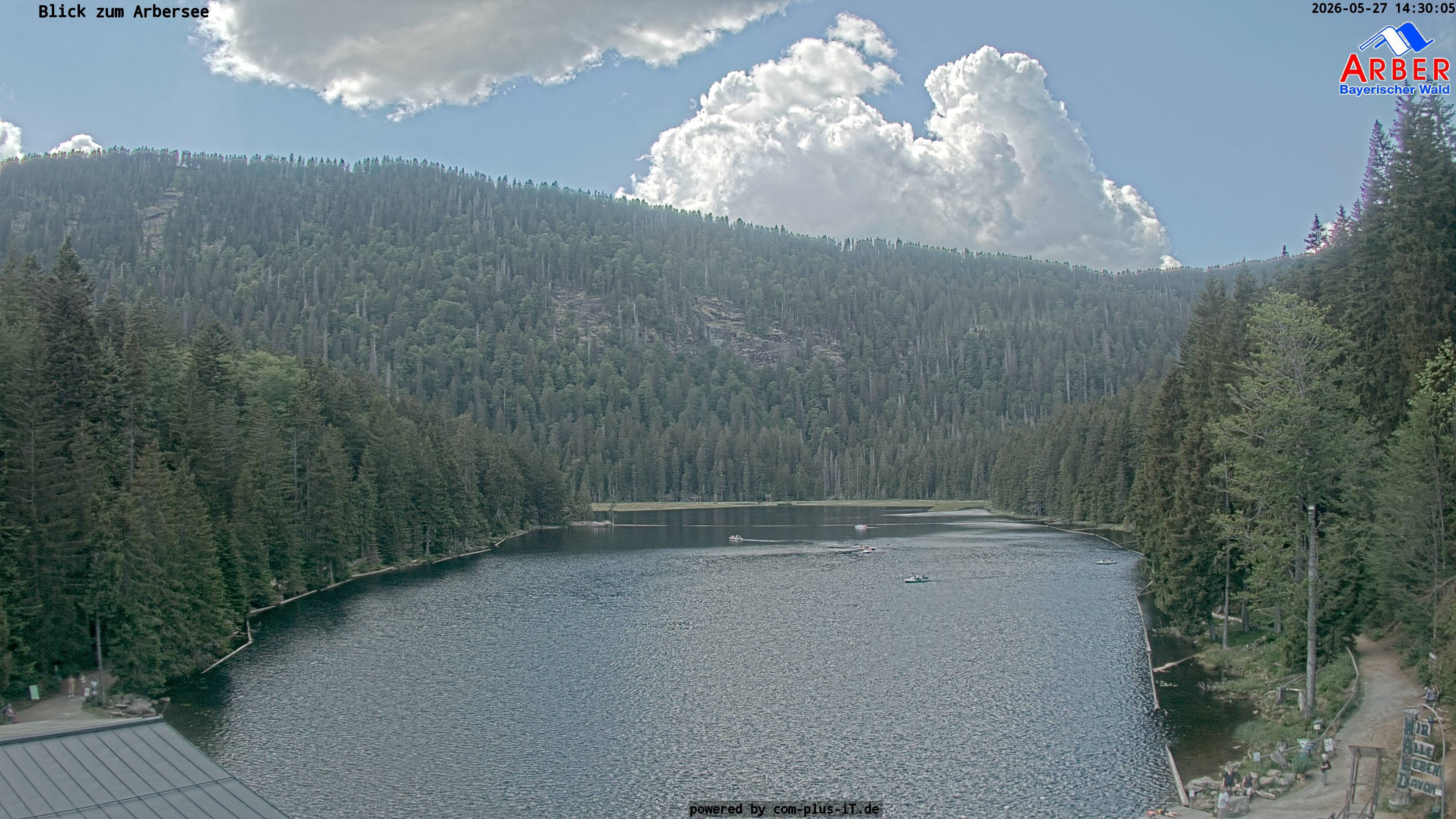 Archiv Foto Webcam Großer Arbersee - Bayerischer Wald