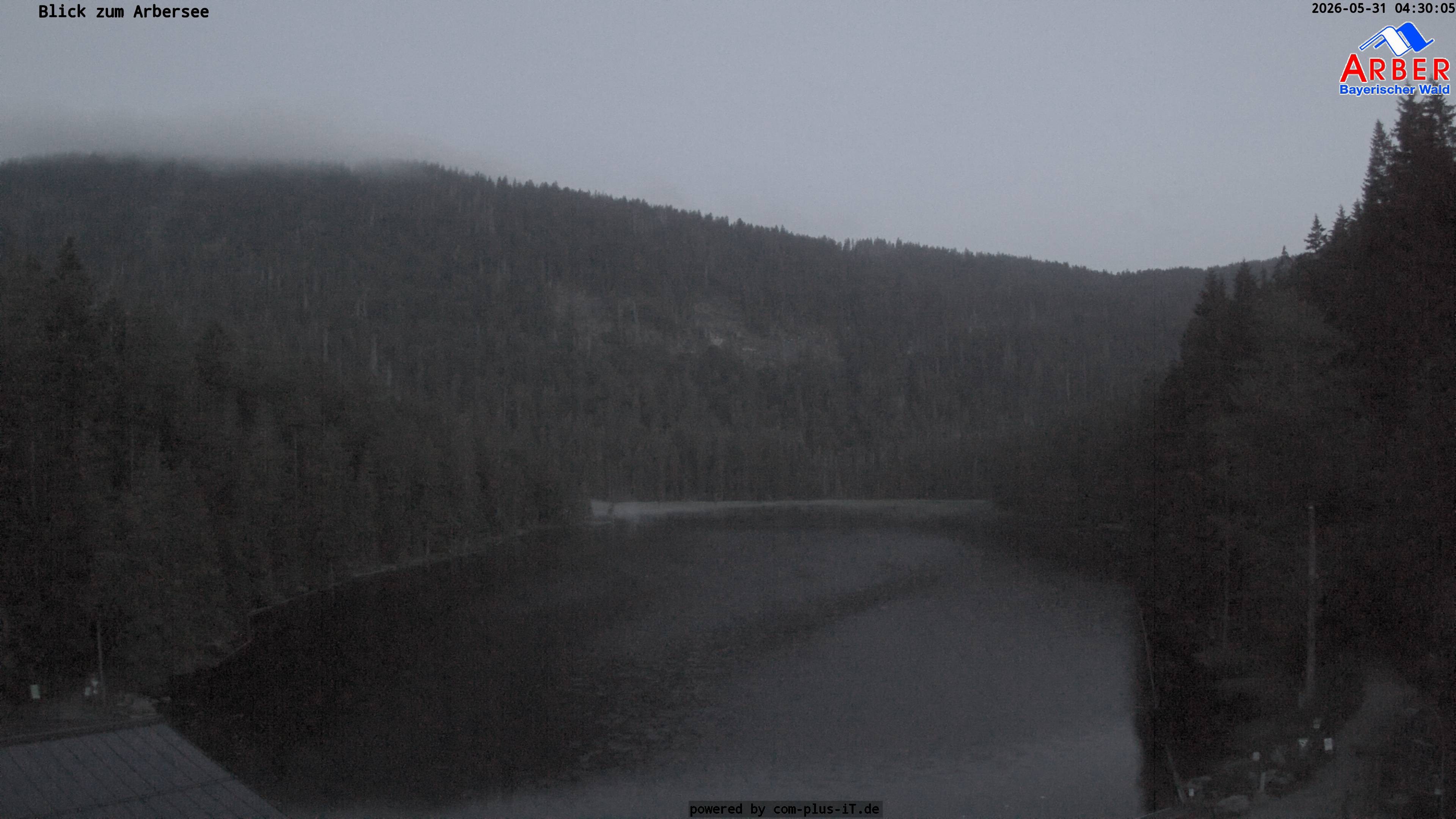 Archiv Foto Webcam Großer Arbersee - Bayerischer Wald
