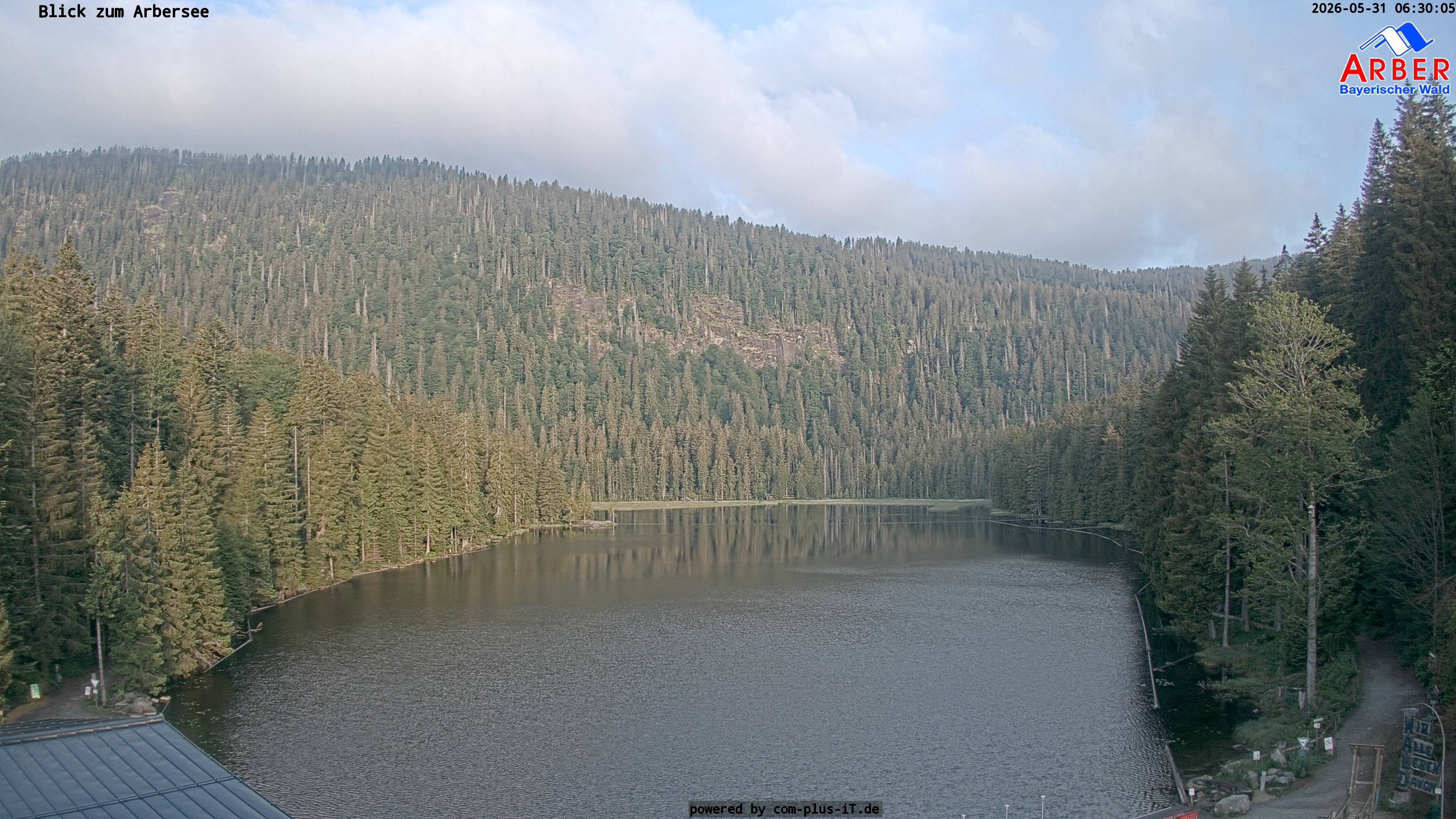 Archiv Foto Webcam Großer Arbersee - Bayerischer Wald