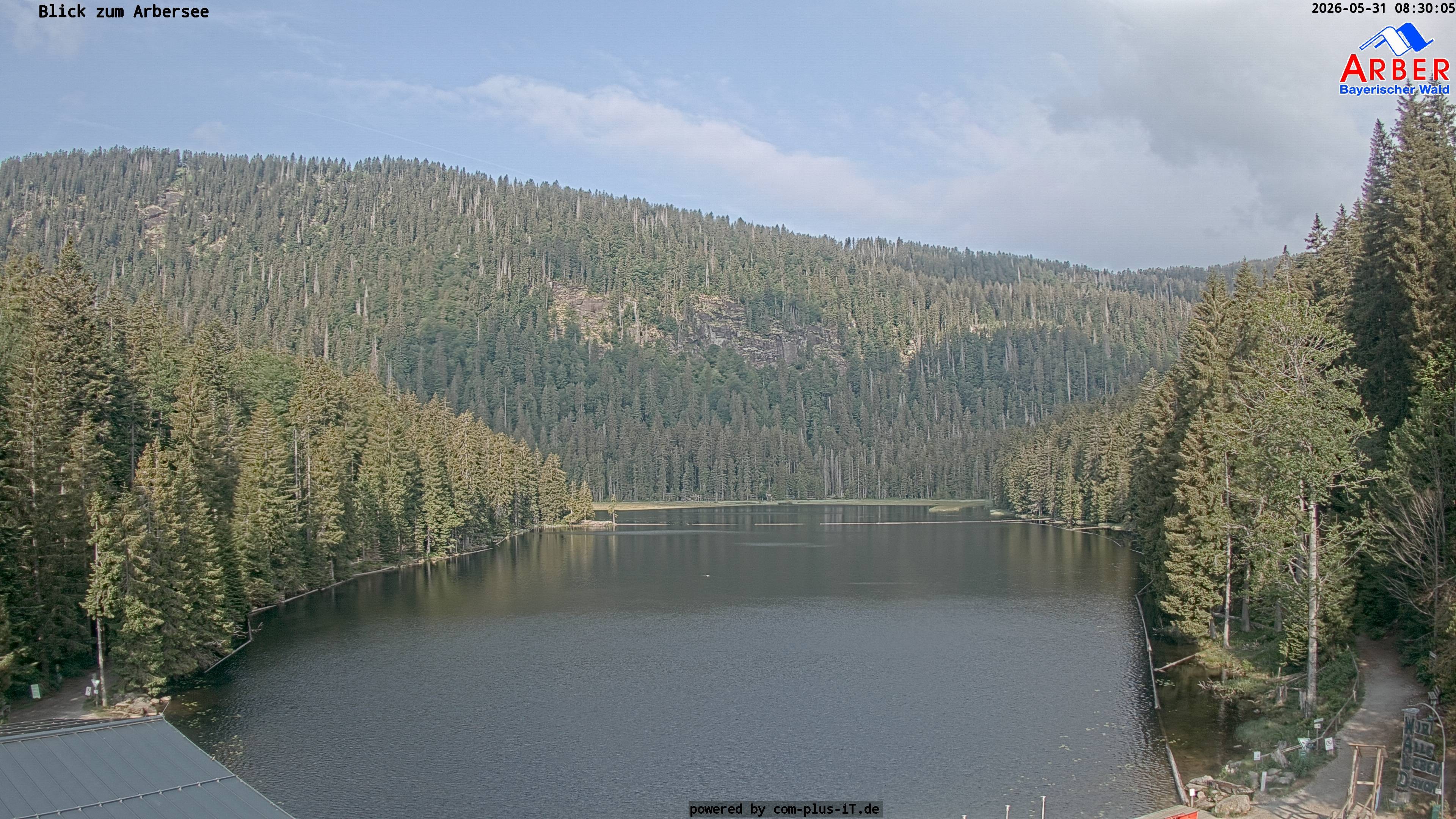 Archiv Foto Webcam Großer Arbersee - Bayerischer Wald