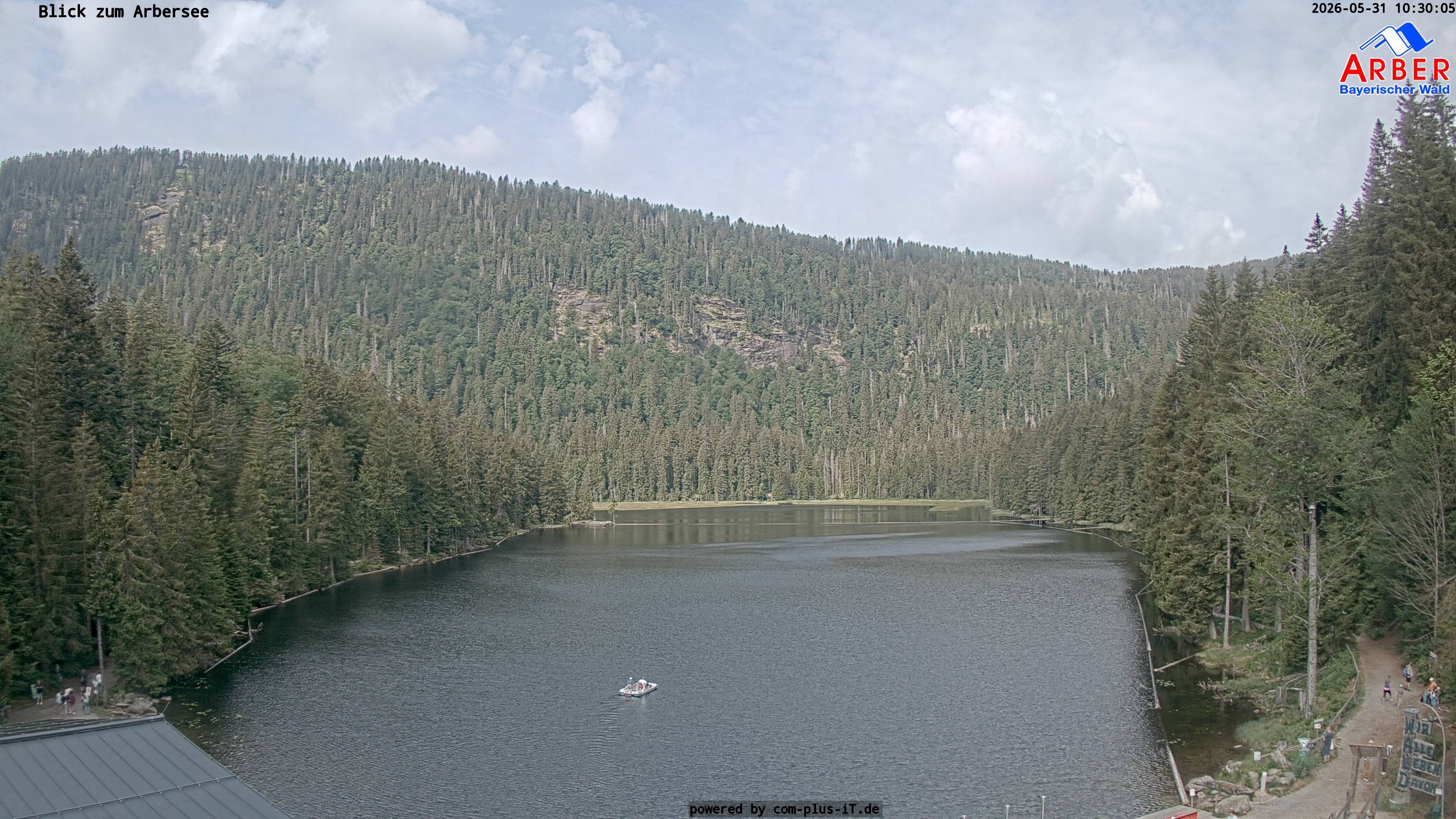 Archiv Foto Webcam Großer Arbersee - Bayerischer Wald