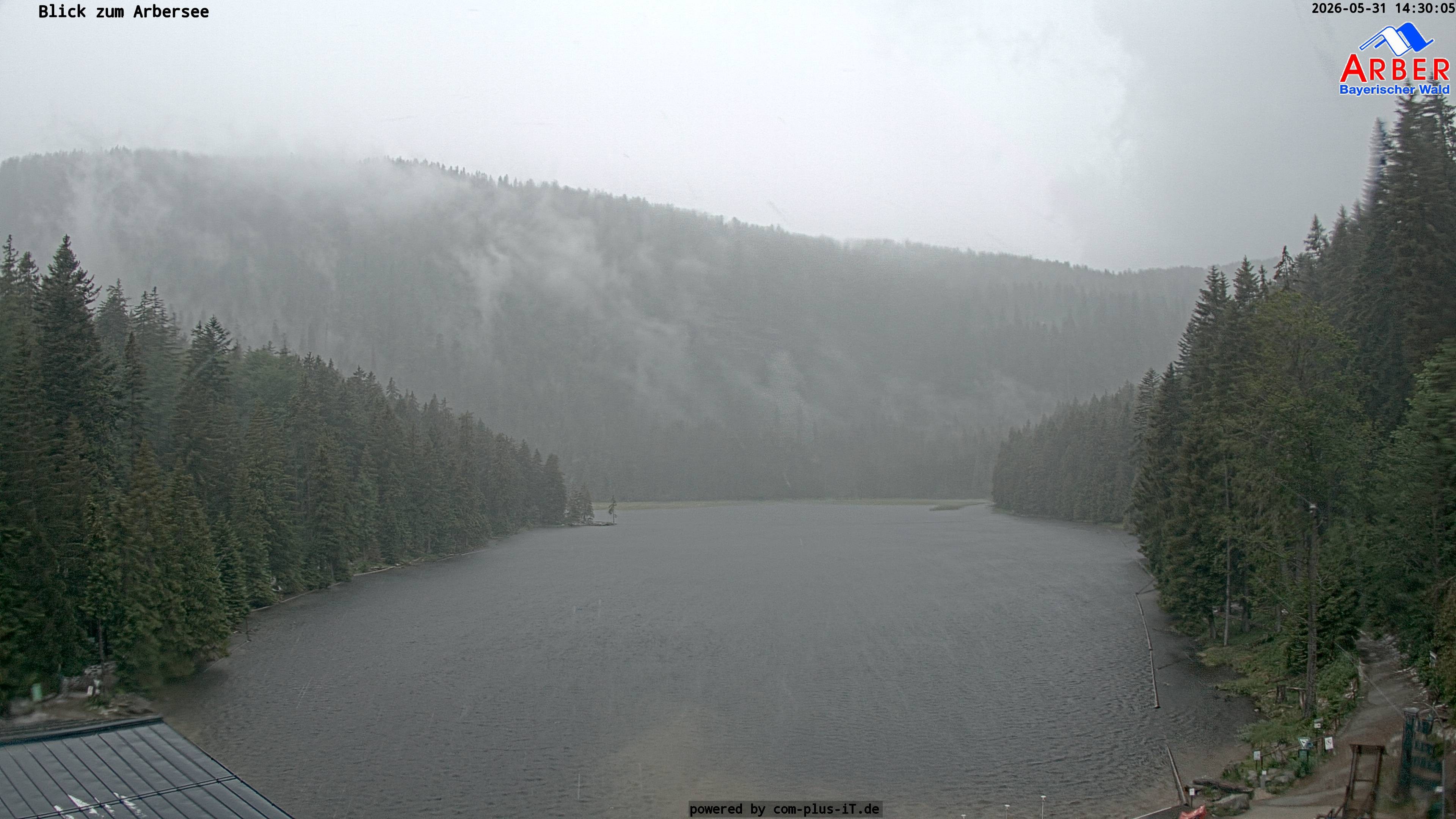 Archiv Foto Webcam Großer Arbersee - Bayerischer Wald