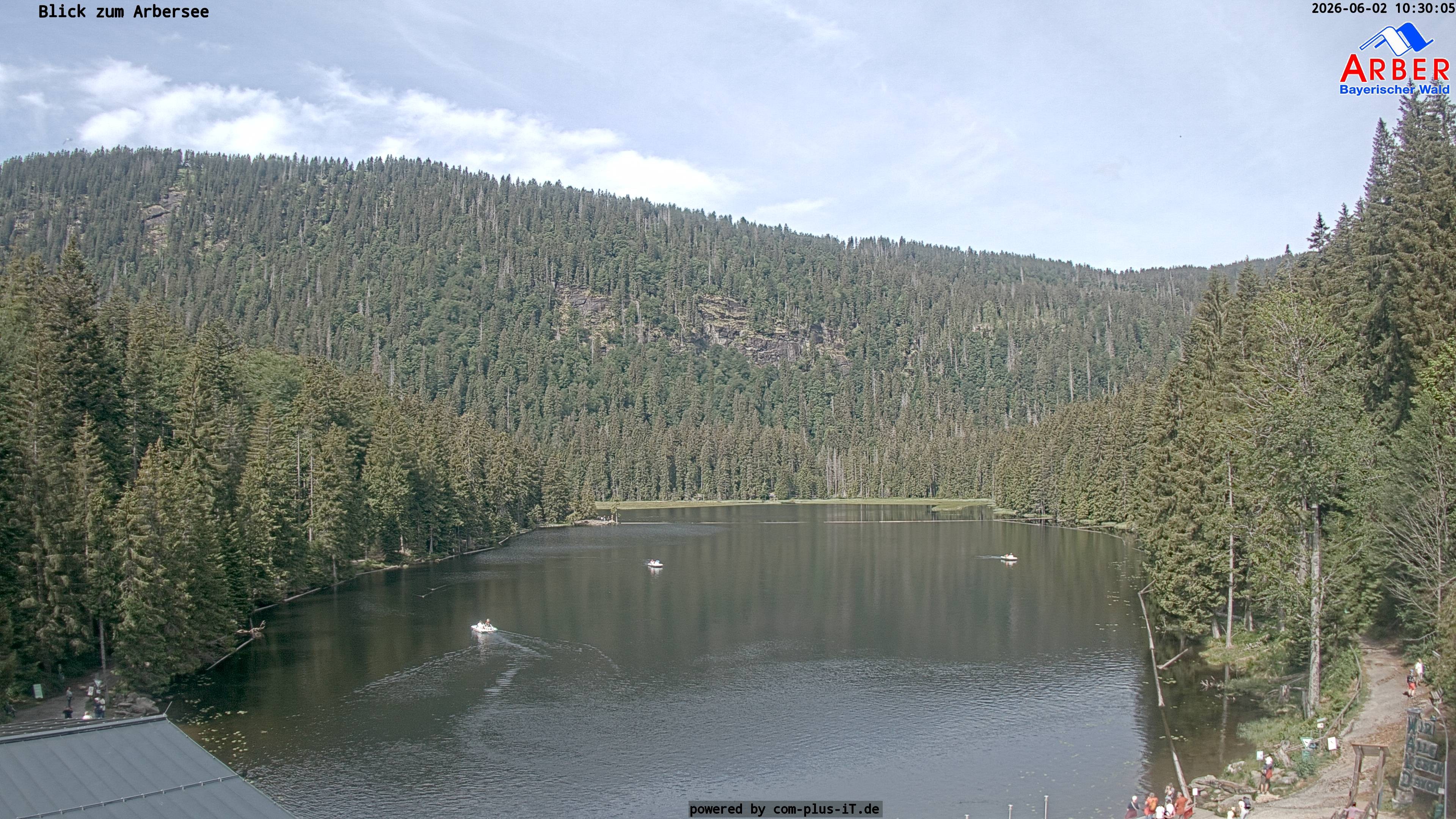Archiv Foto Webcam Großer Arbersee - Bayerischer Wald
