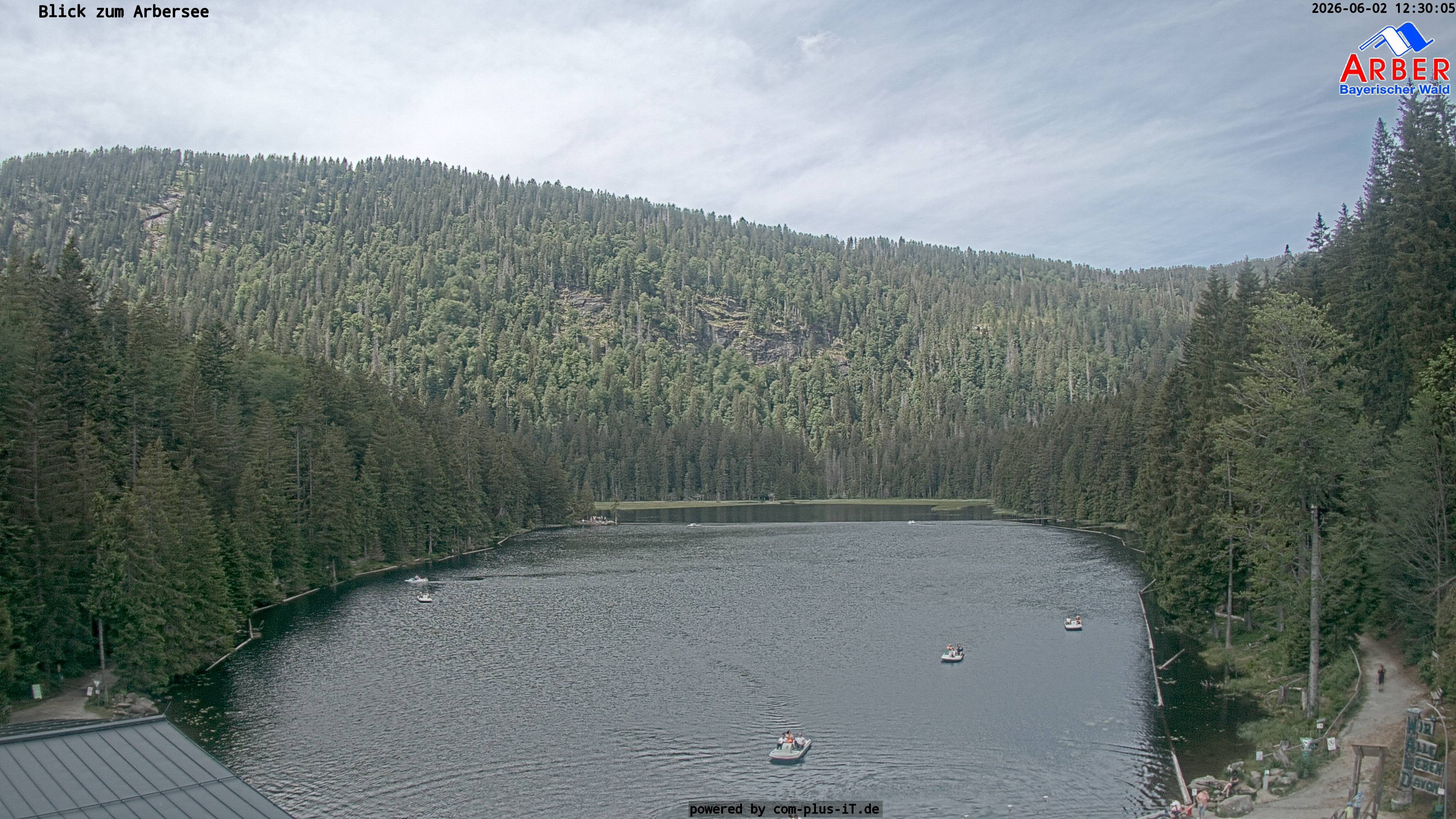 Archiv Foto Webcam Großer Arbersee - Bayerischer Wald