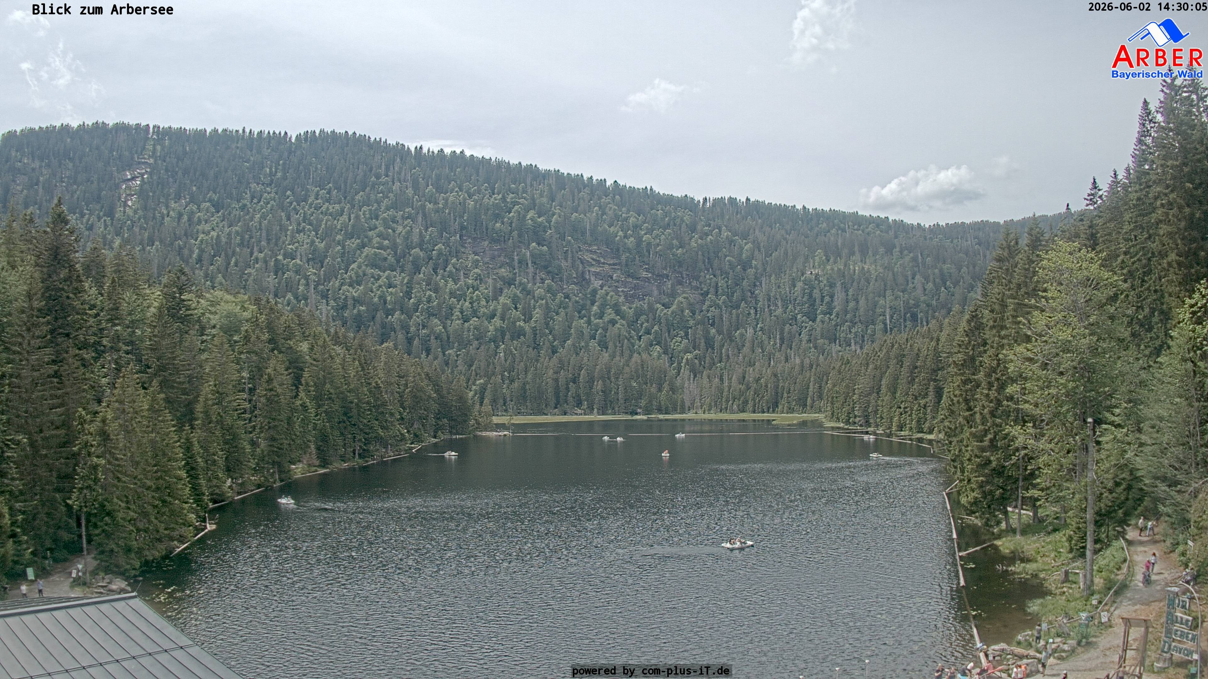 Archiv Foto Webcam Großer Arbersee - Bayerischer Wald
