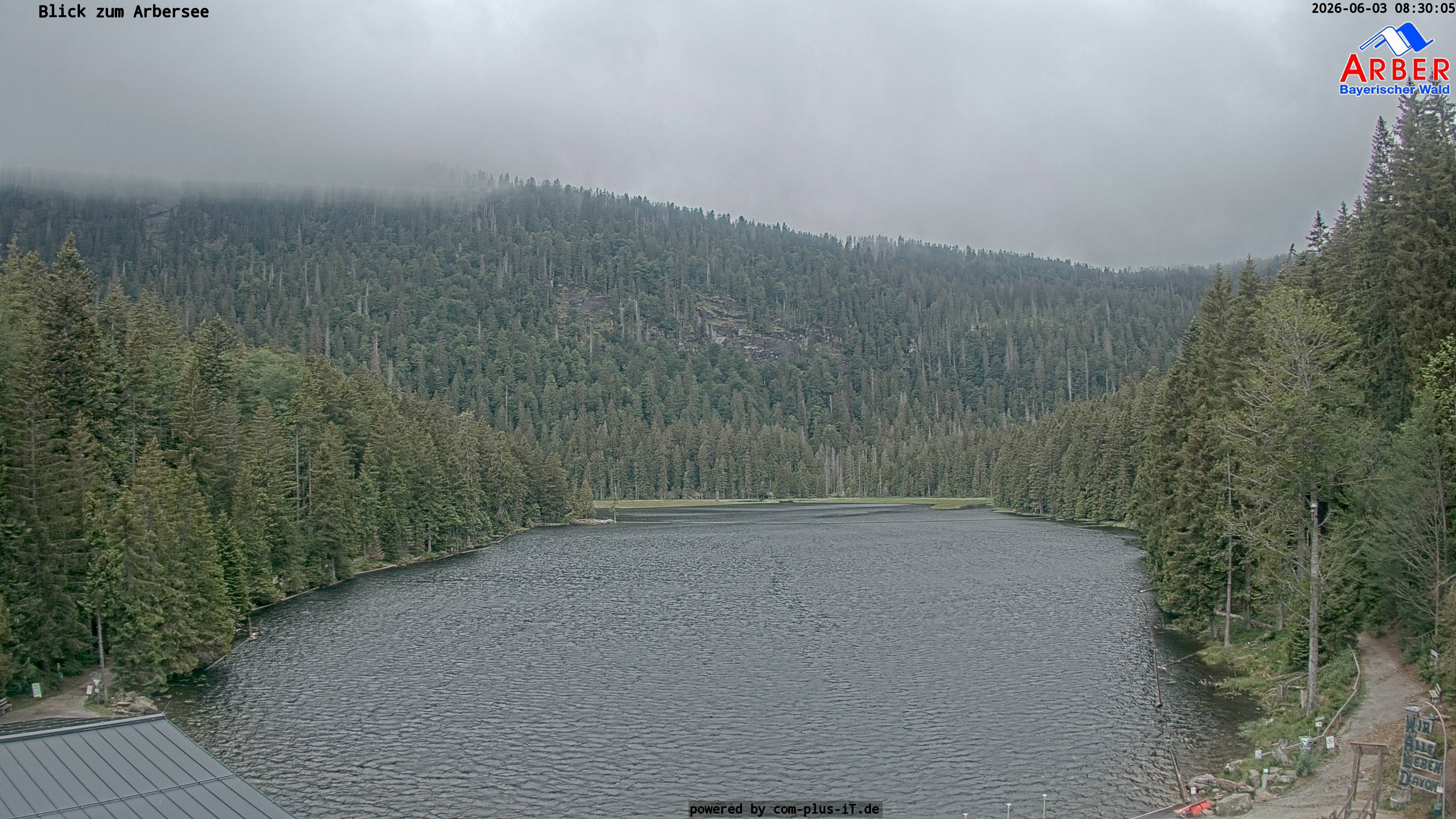 Archived image Webcam Lake "Großer Arbersee" (Bavarian Forest)