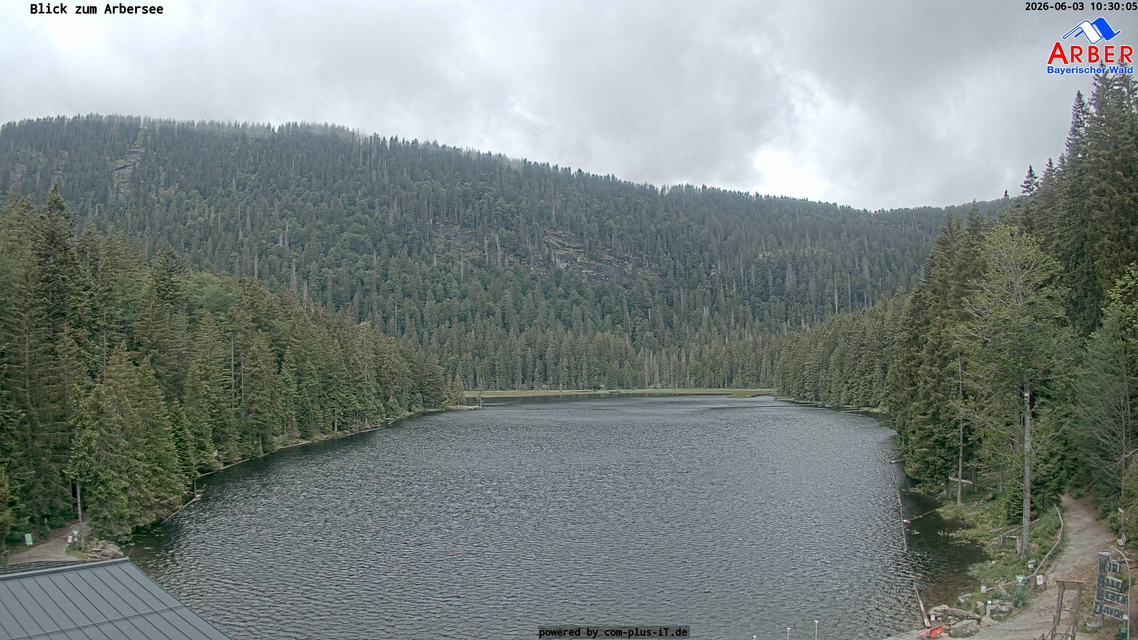Archived image Webcam Lake "Großer Arbersee" (Bavarian Forest)