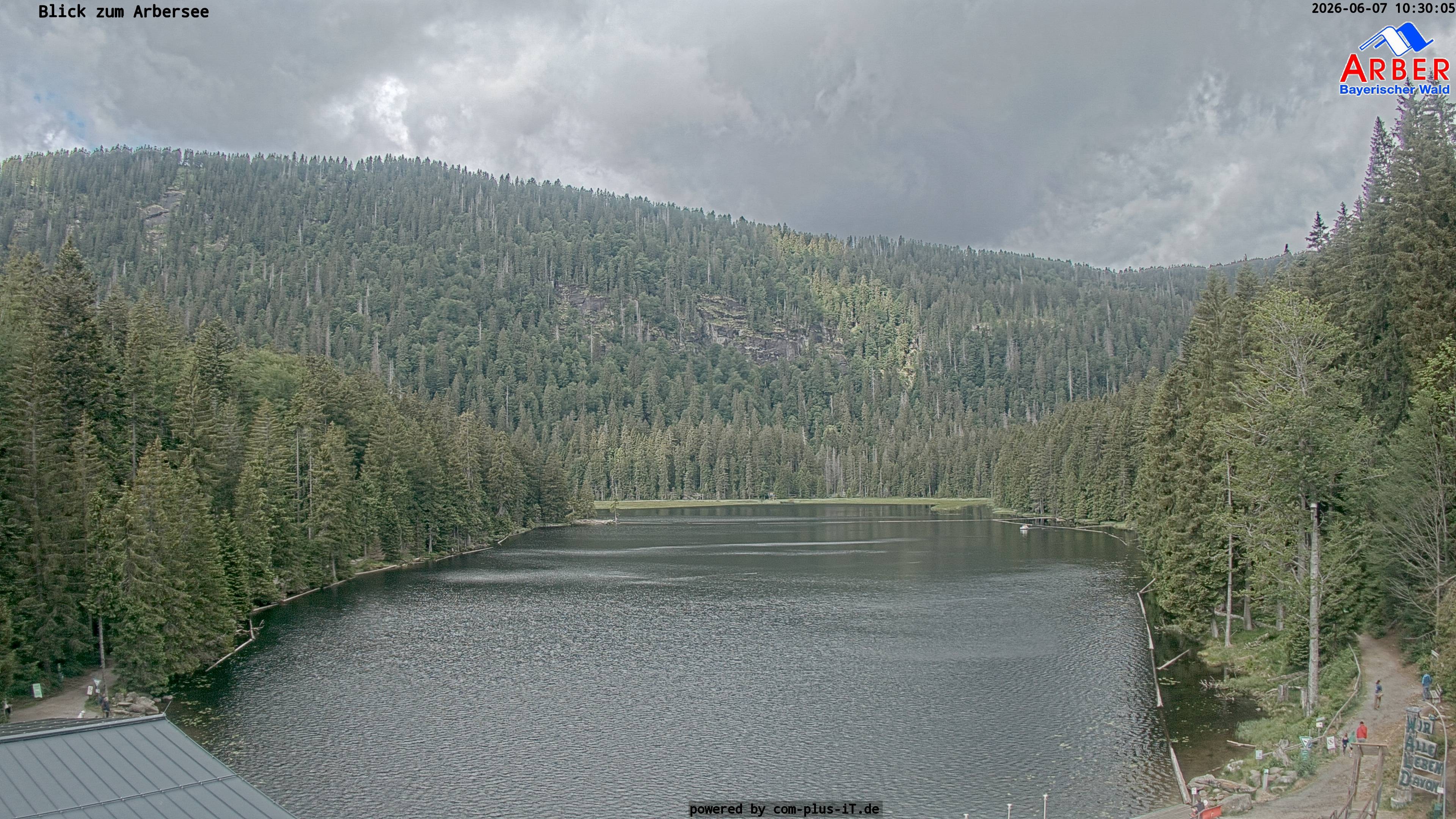 Archiv Foto Webcam Großer Arbersee - Bayerischer Wald