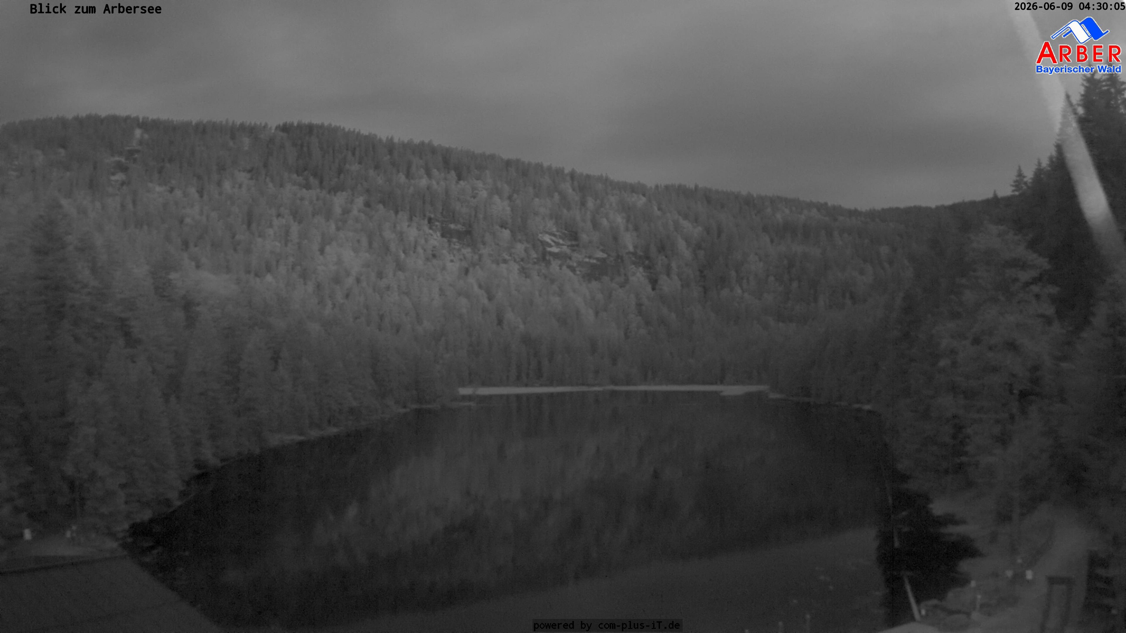 Archiv Foto Webcam Großer Arbersee - Bayerischer Wald