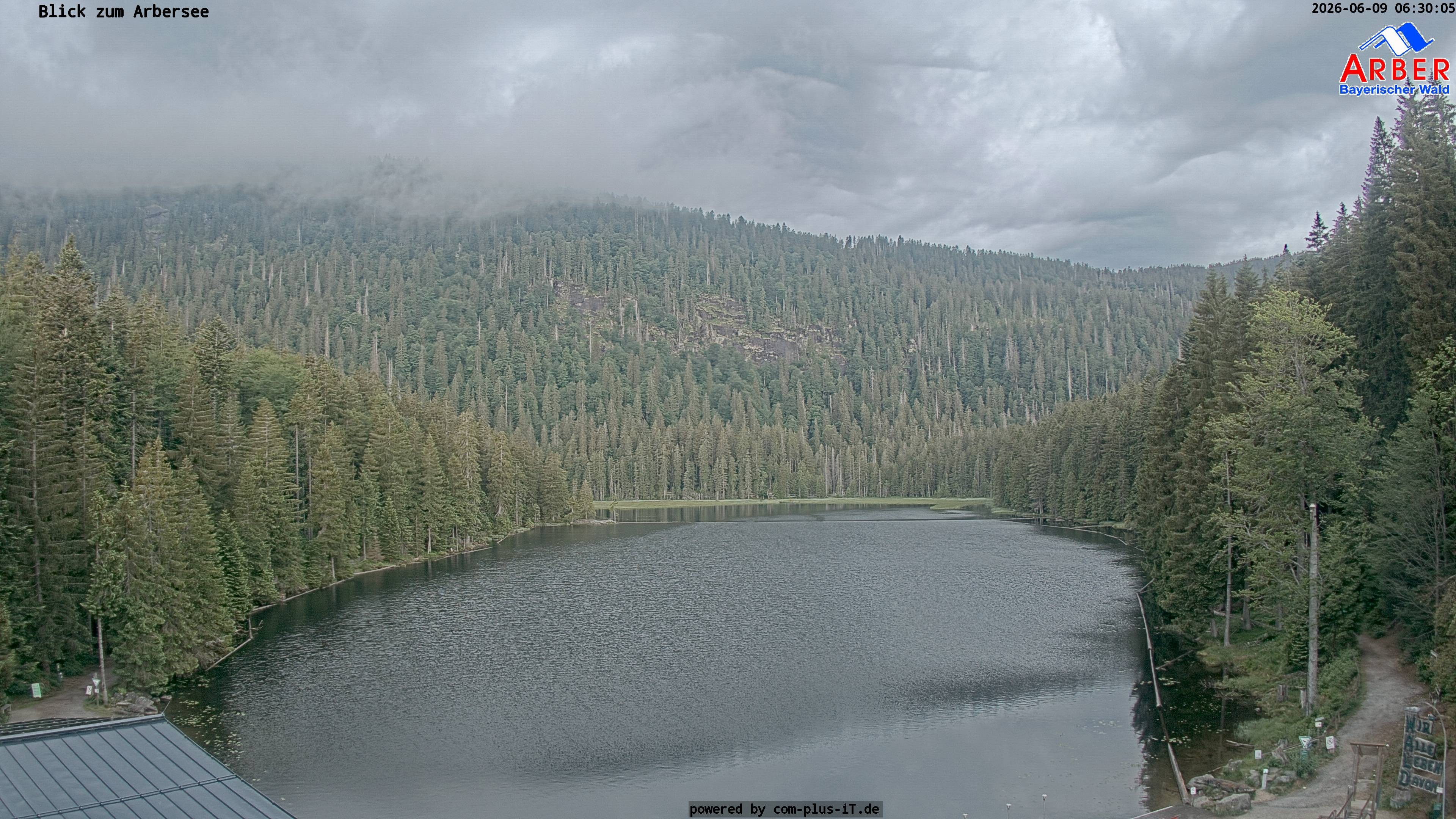 Archiv Foto Webcam Großer Arbersee - Bayerischer Wald