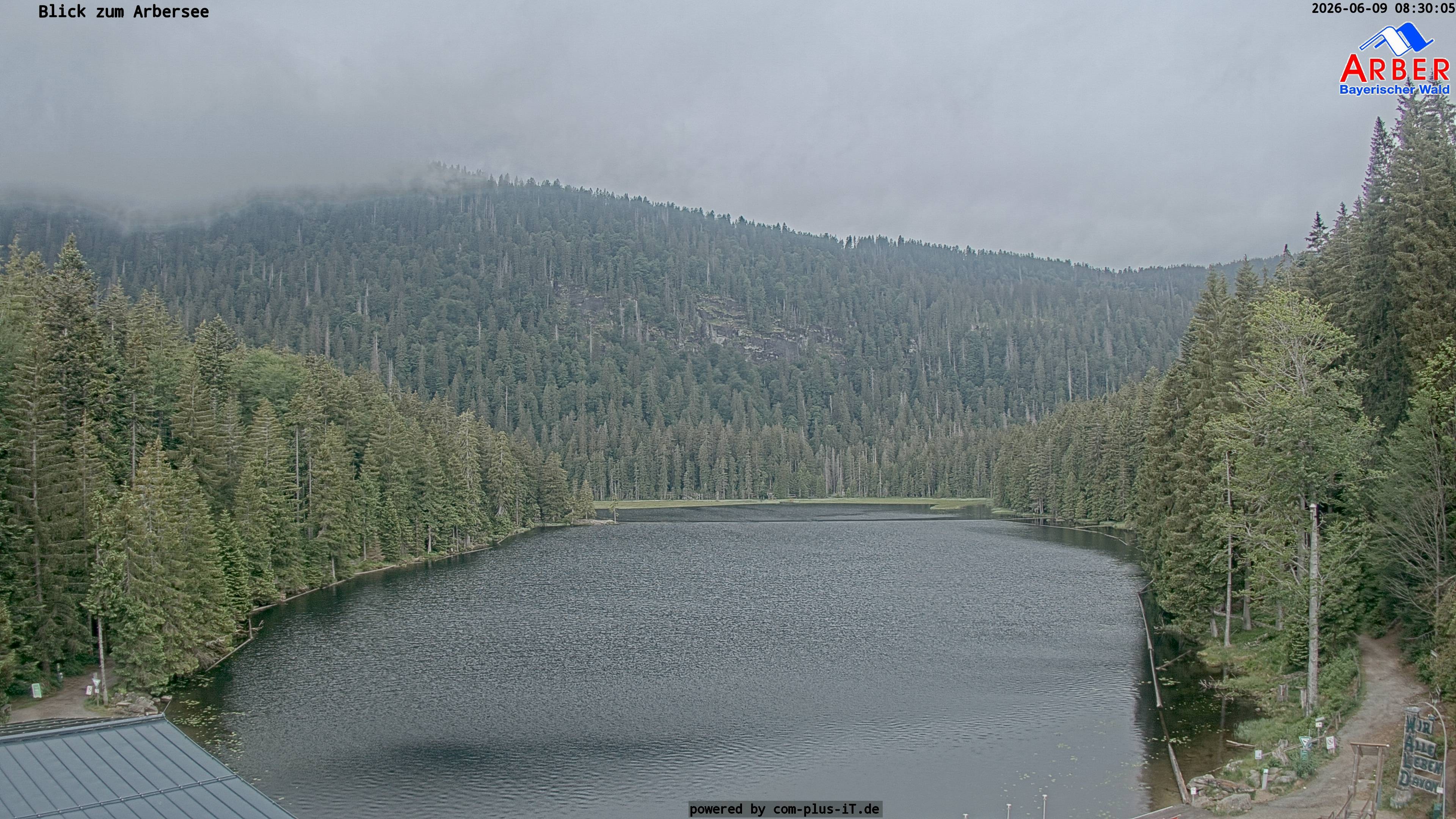 Archiv Foto Webcam Großer Arbersee - Bayerischer Wald