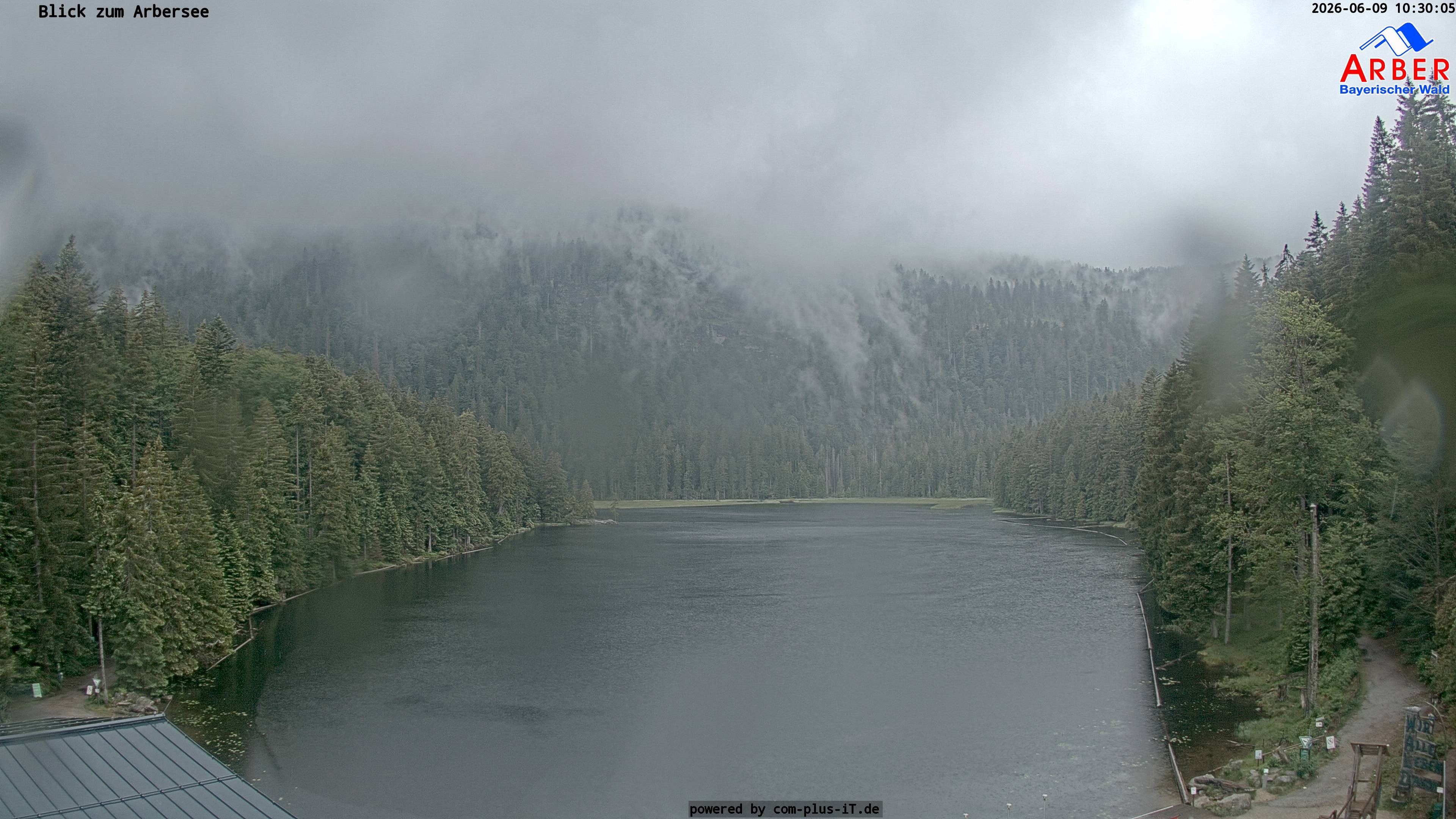 Archiv Foto Webcam Großer Arbersee - Bayerischer Wald