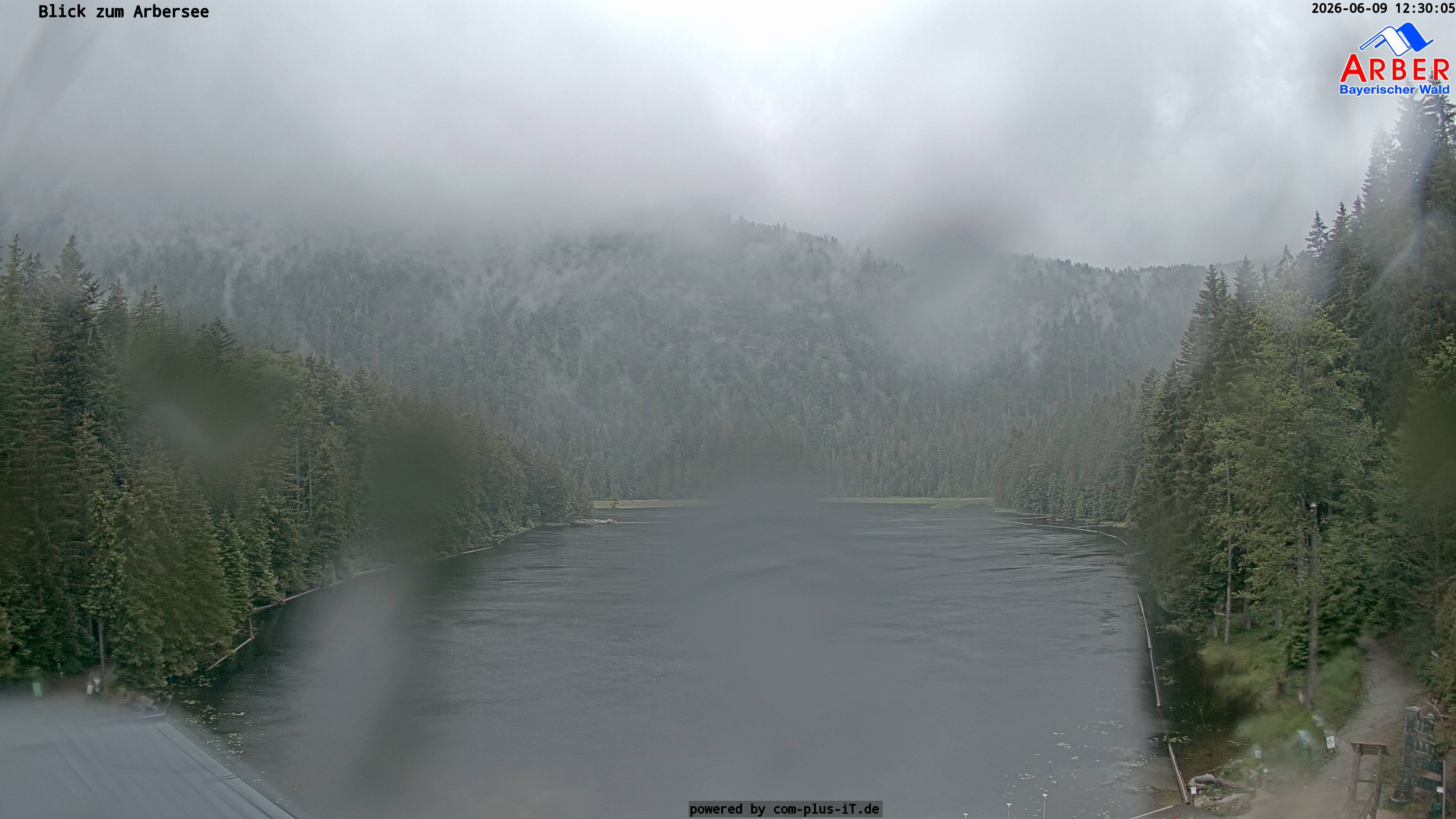 Archiv Foto Webcam Großer Arbersee - Bayerischer Wald