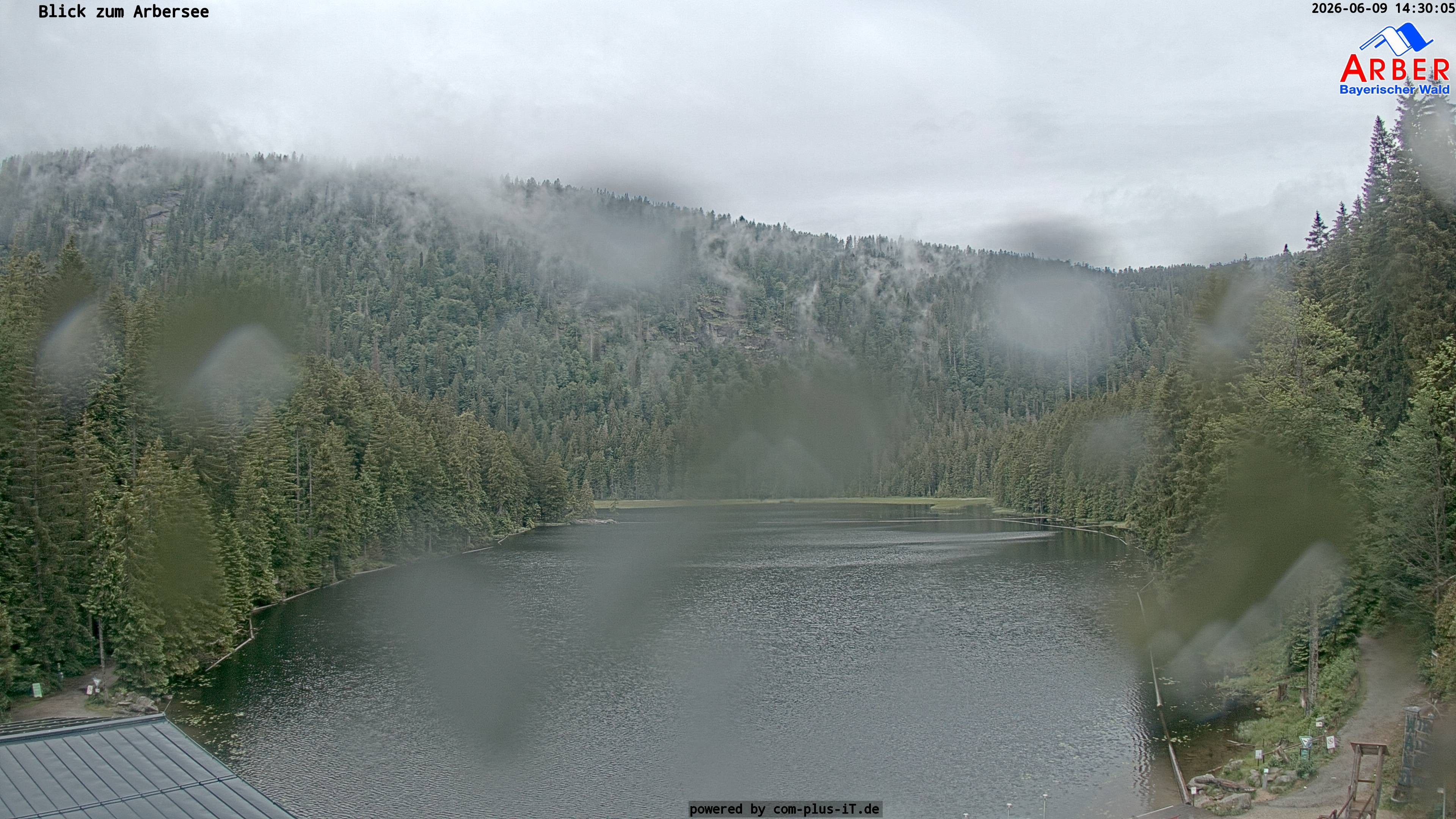 Archiv Foto Webcam Großer Arbersee - Bayerischer Wald