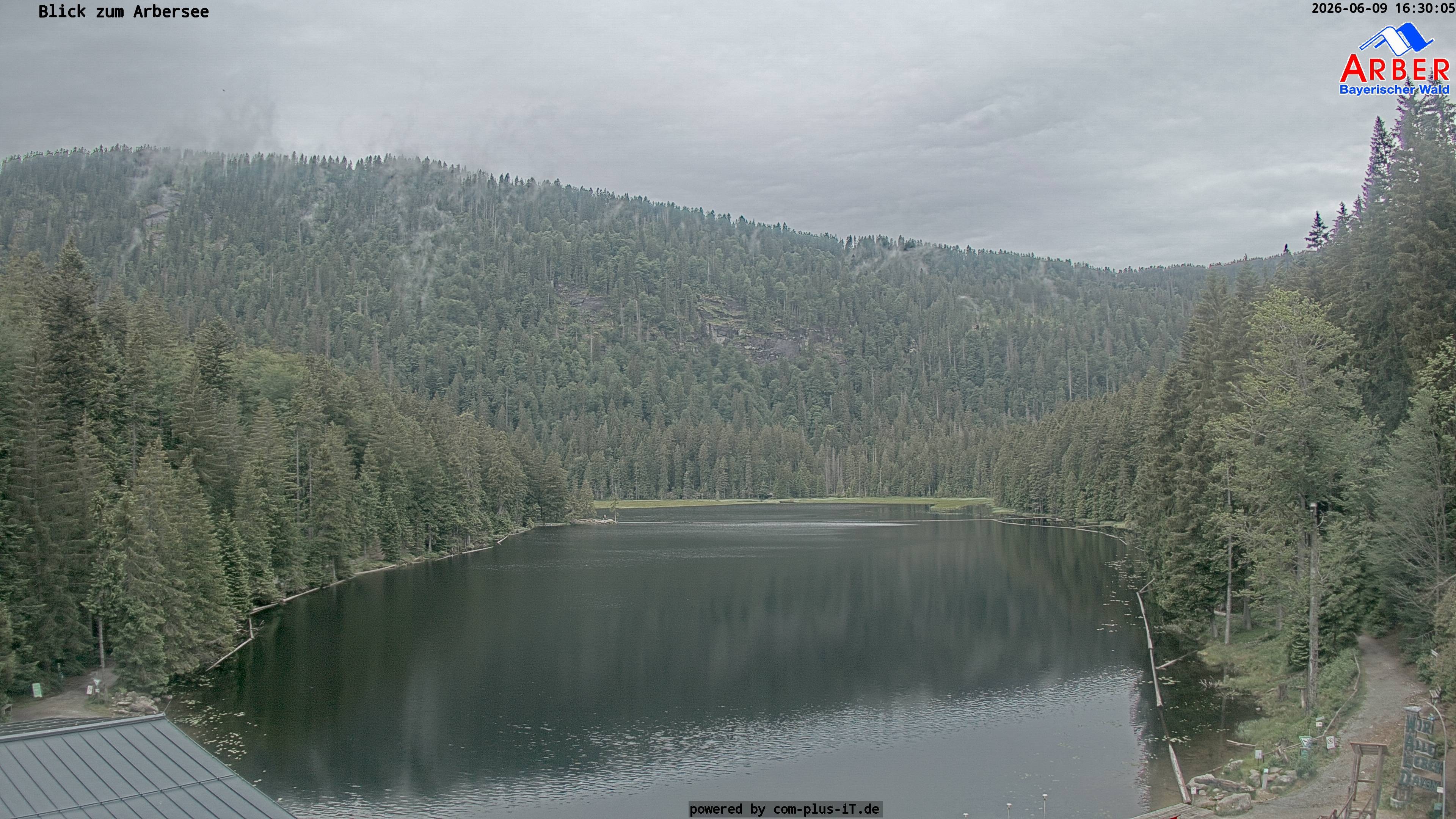 Archiv Foto Webcam Großer Arbersee - Bayerischer Wald