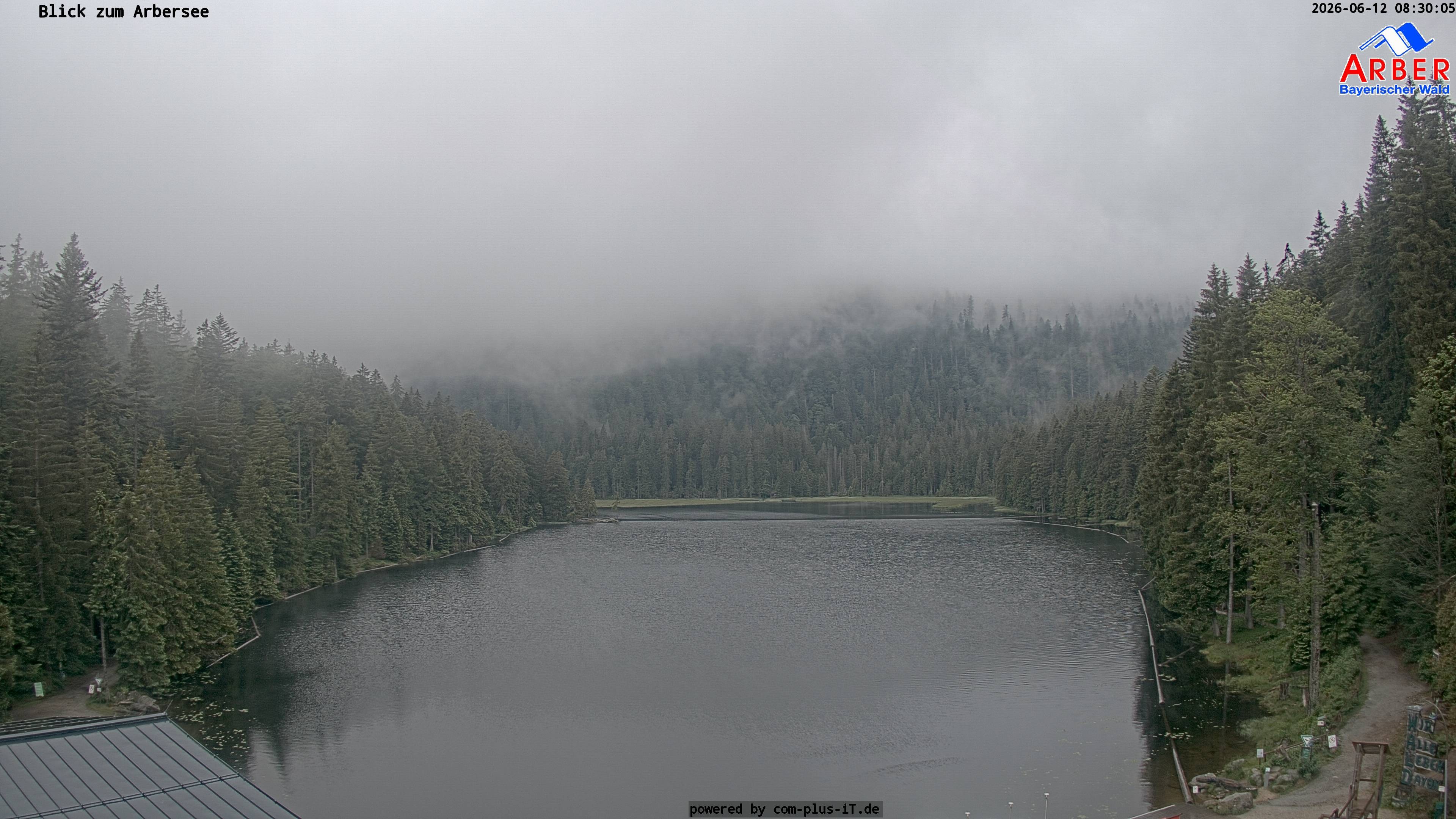 Archived image Webcam Lake "Großer Arbersee" (Bavarian Forest)