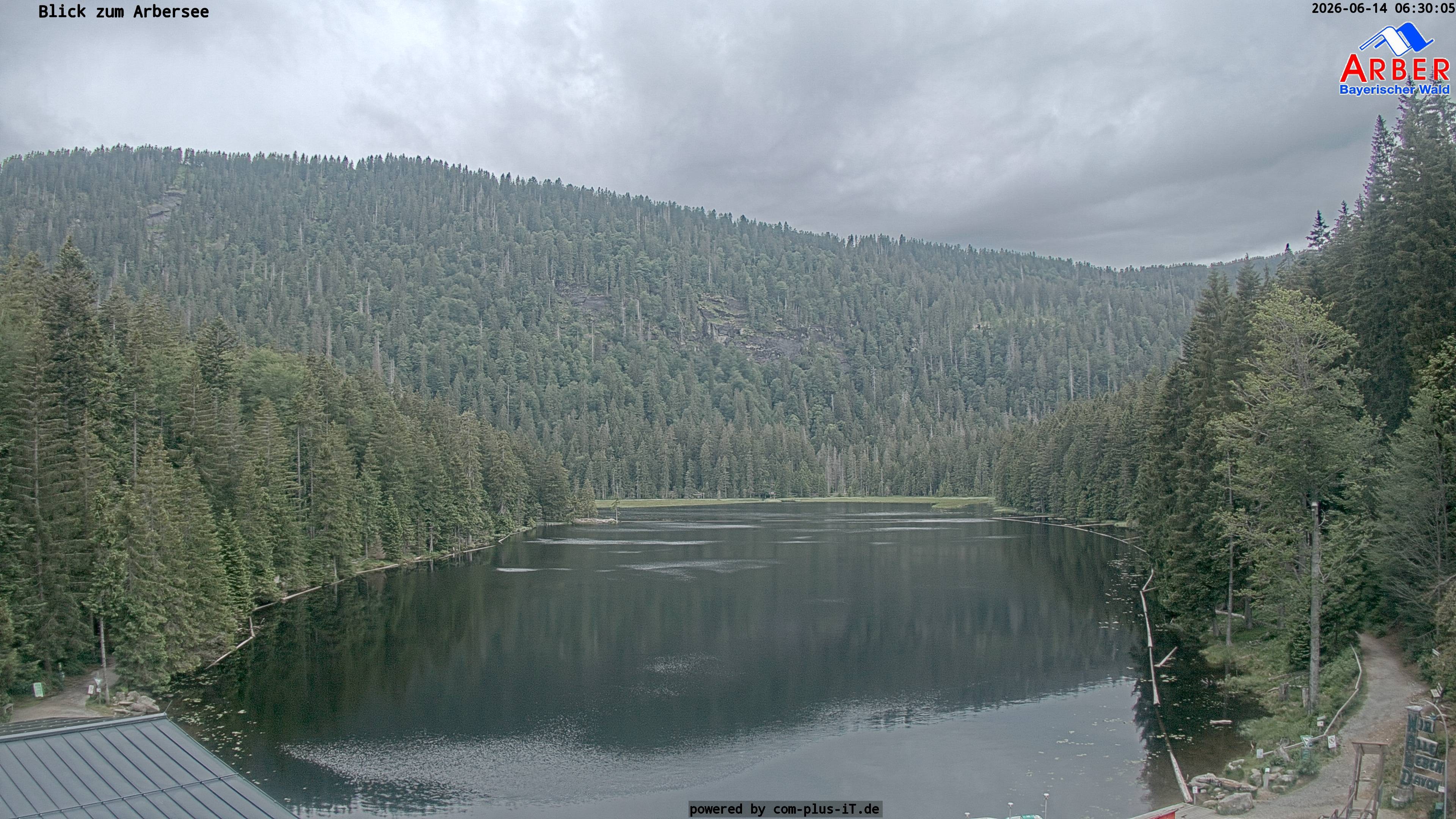 Archiv Foto Webcam Großer Arbersee - Bayerischer Wald