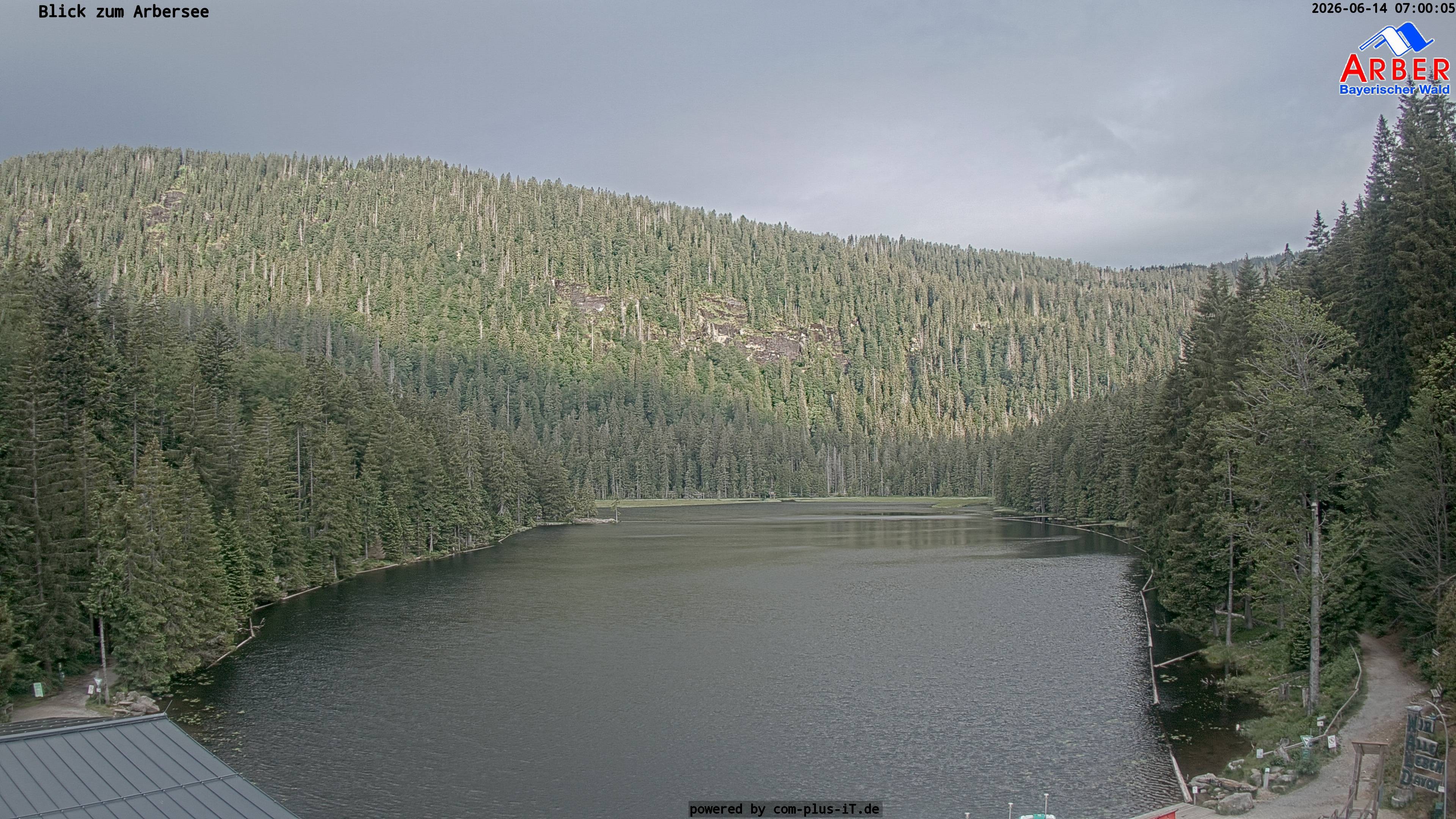Archiv Foto Webcam Großer Arbersee - Bayerischer Wald