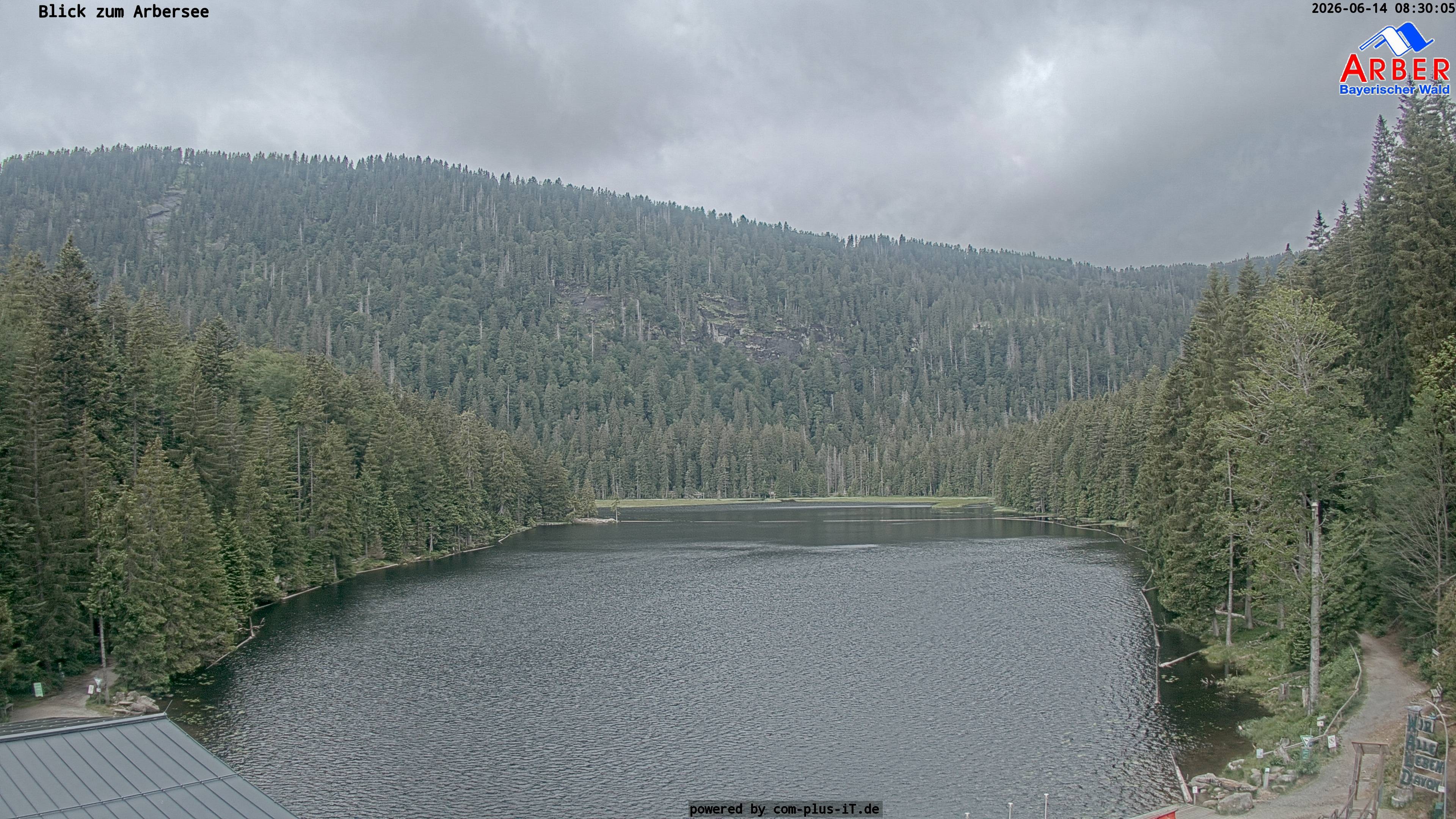 Archiv Foto Webcam Großer Arbersee - Bayerischer Wald